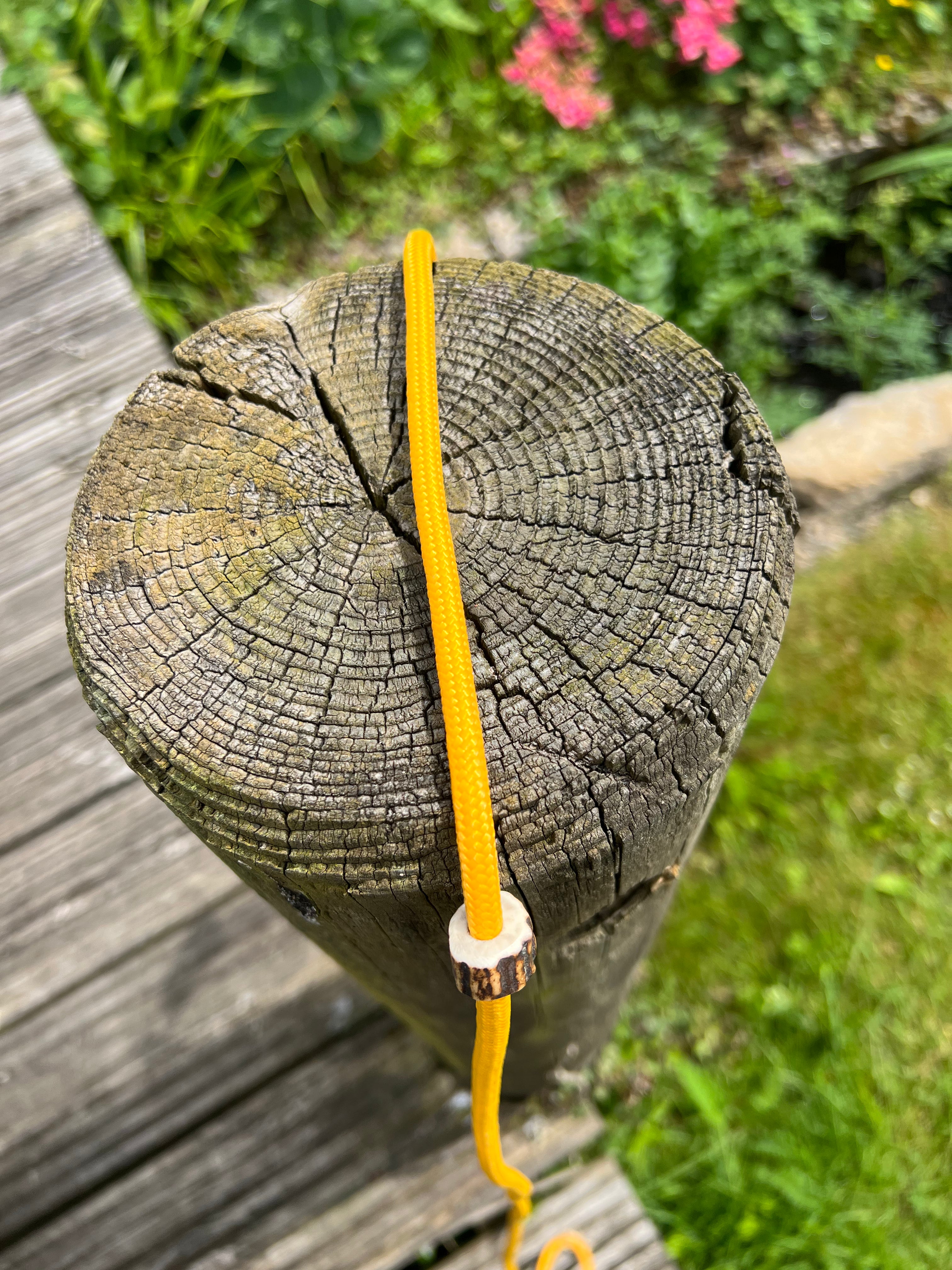 Firedog Field Trial Slip Leads