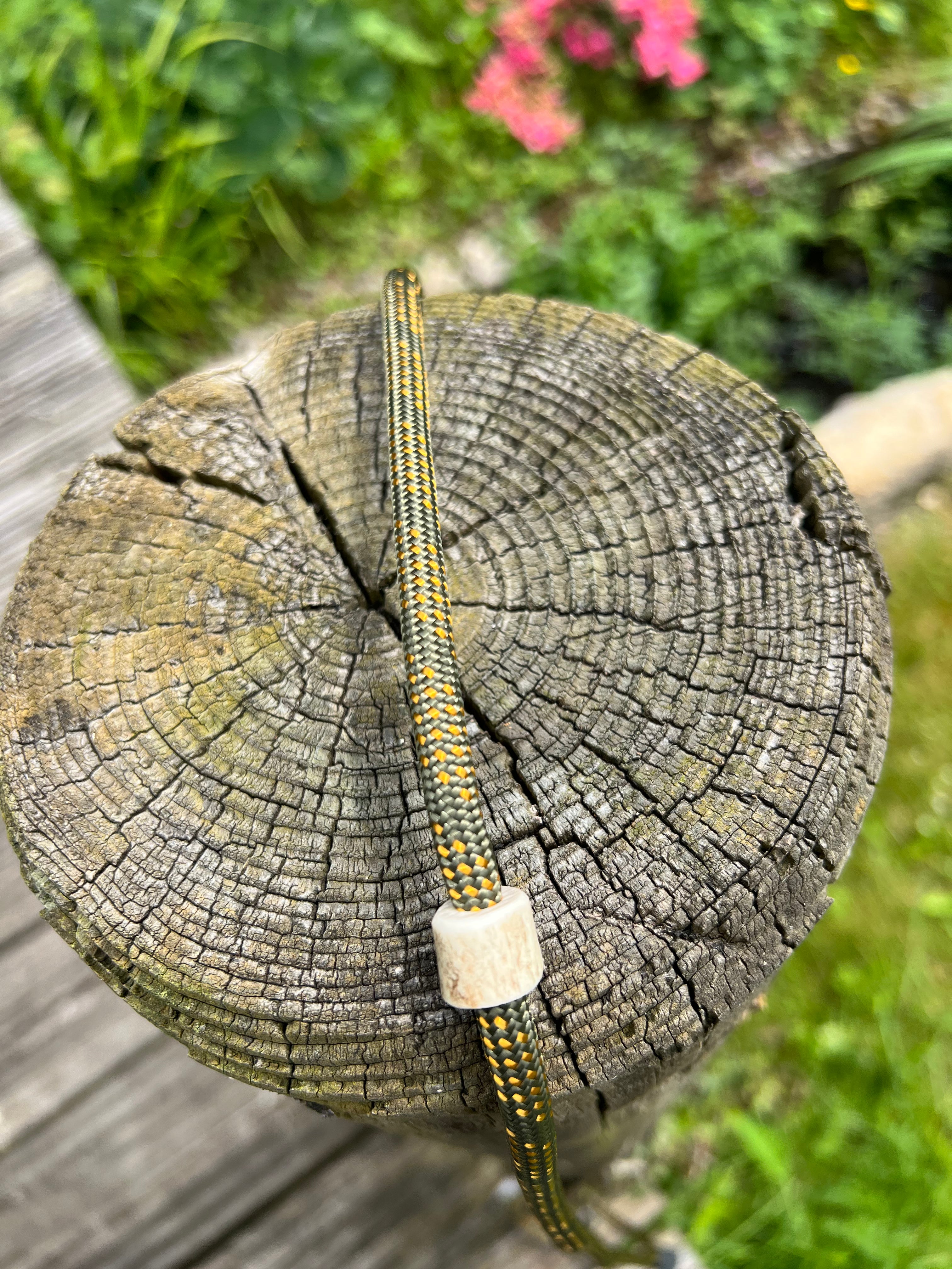 Firedog Field Trial Slip Leads