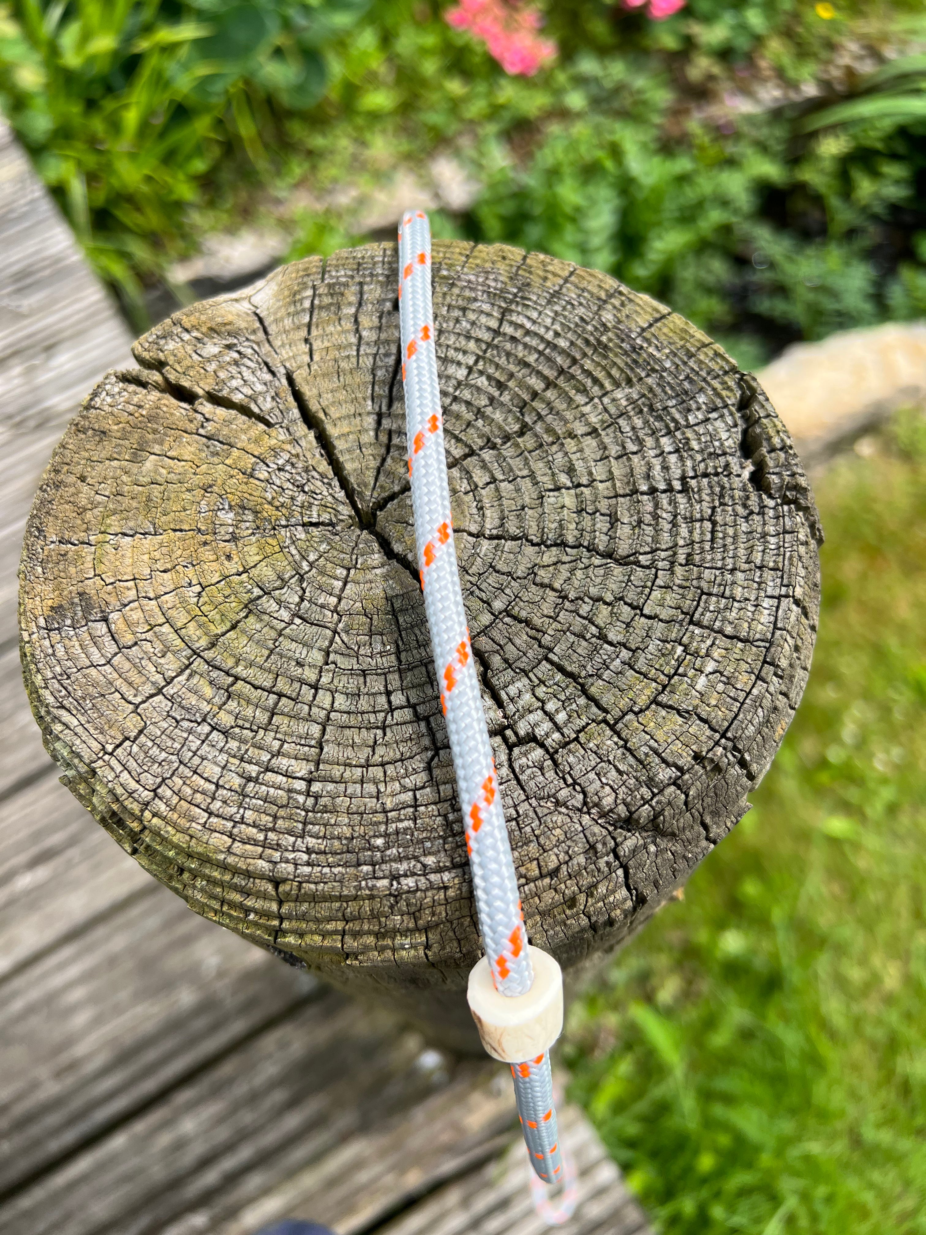 Firedog Field Trial Slip Leads