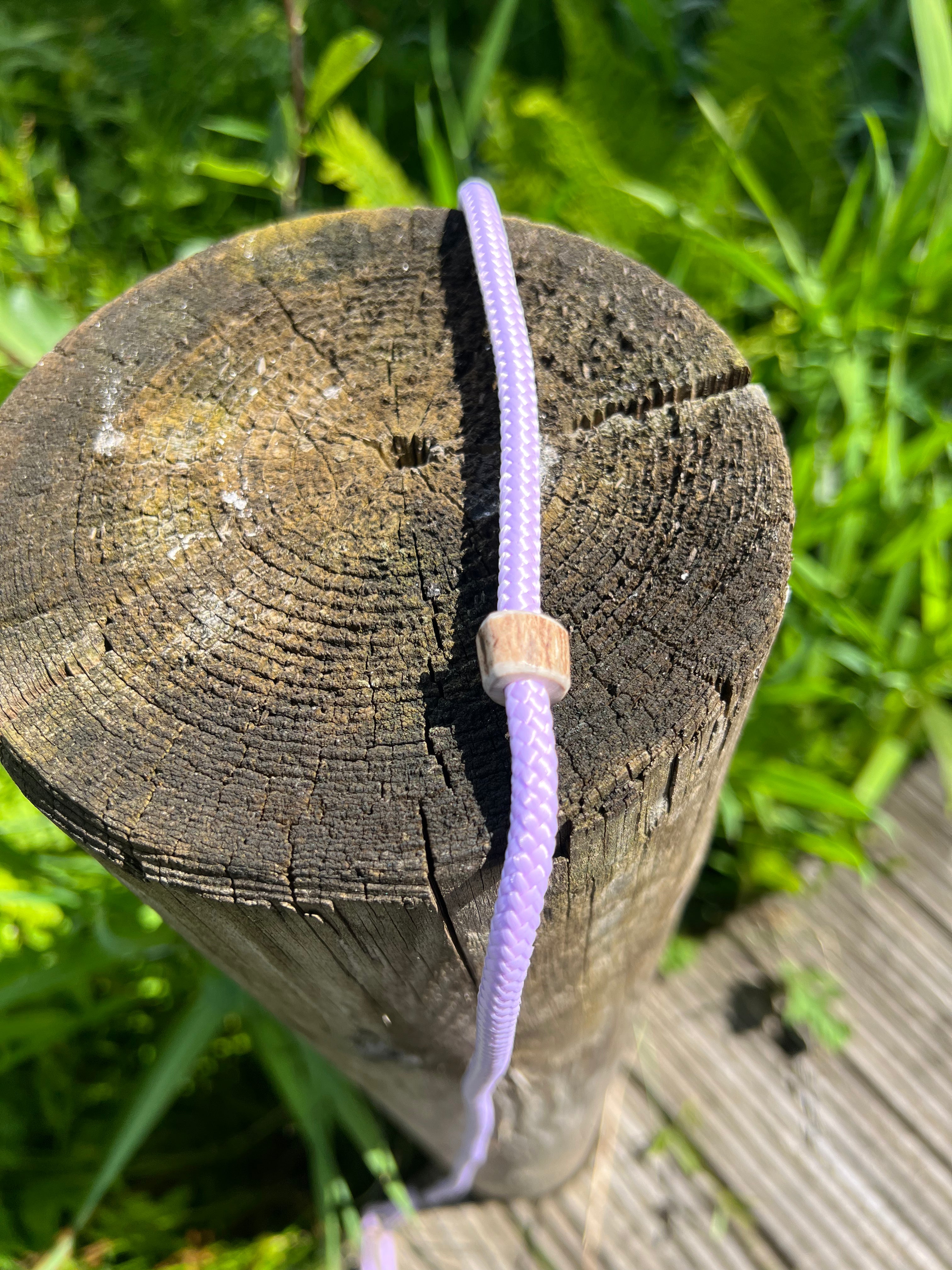 Firedog Field Trial Slip Leads