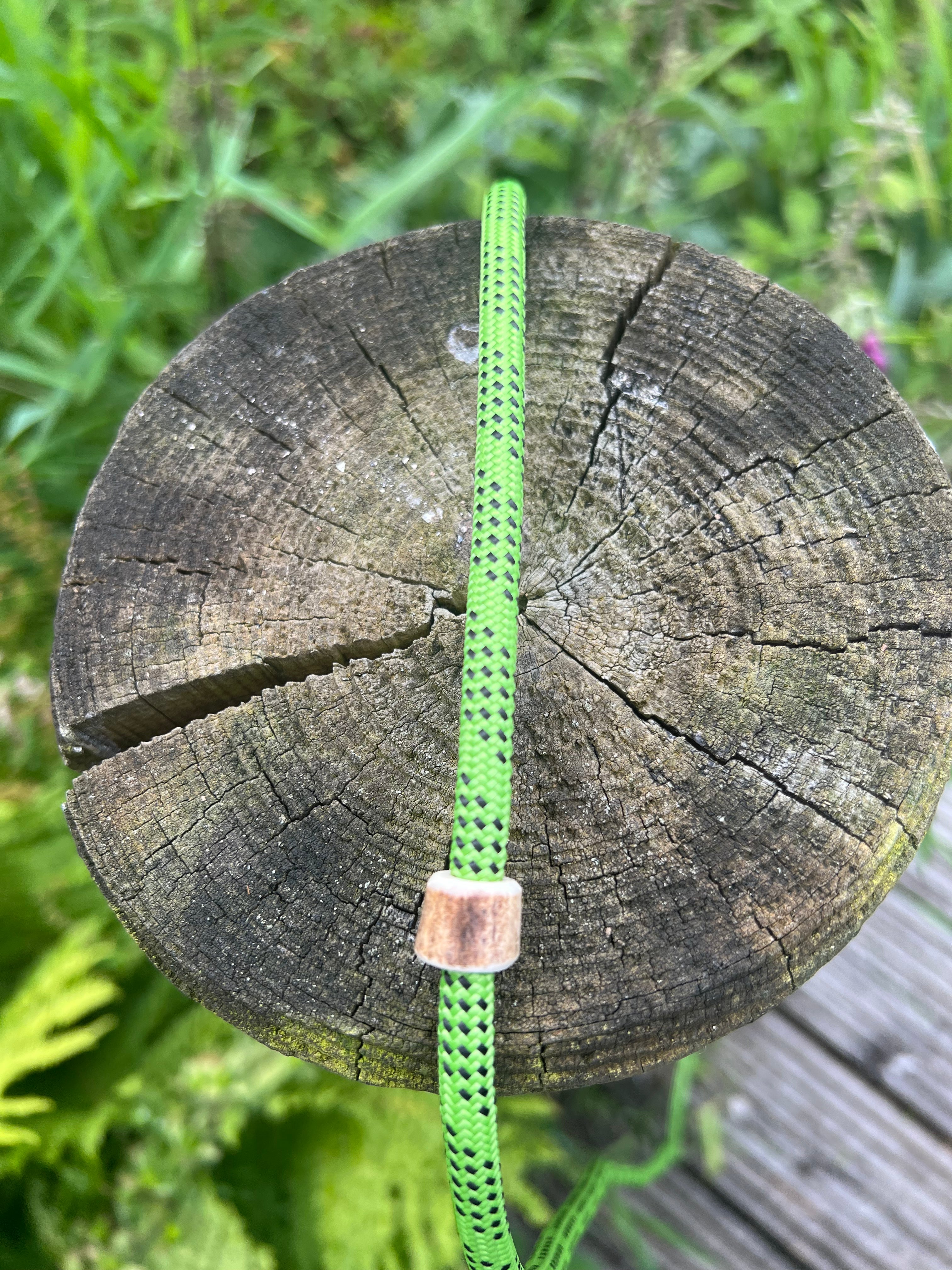 Firedog Field Trial Slip Leads