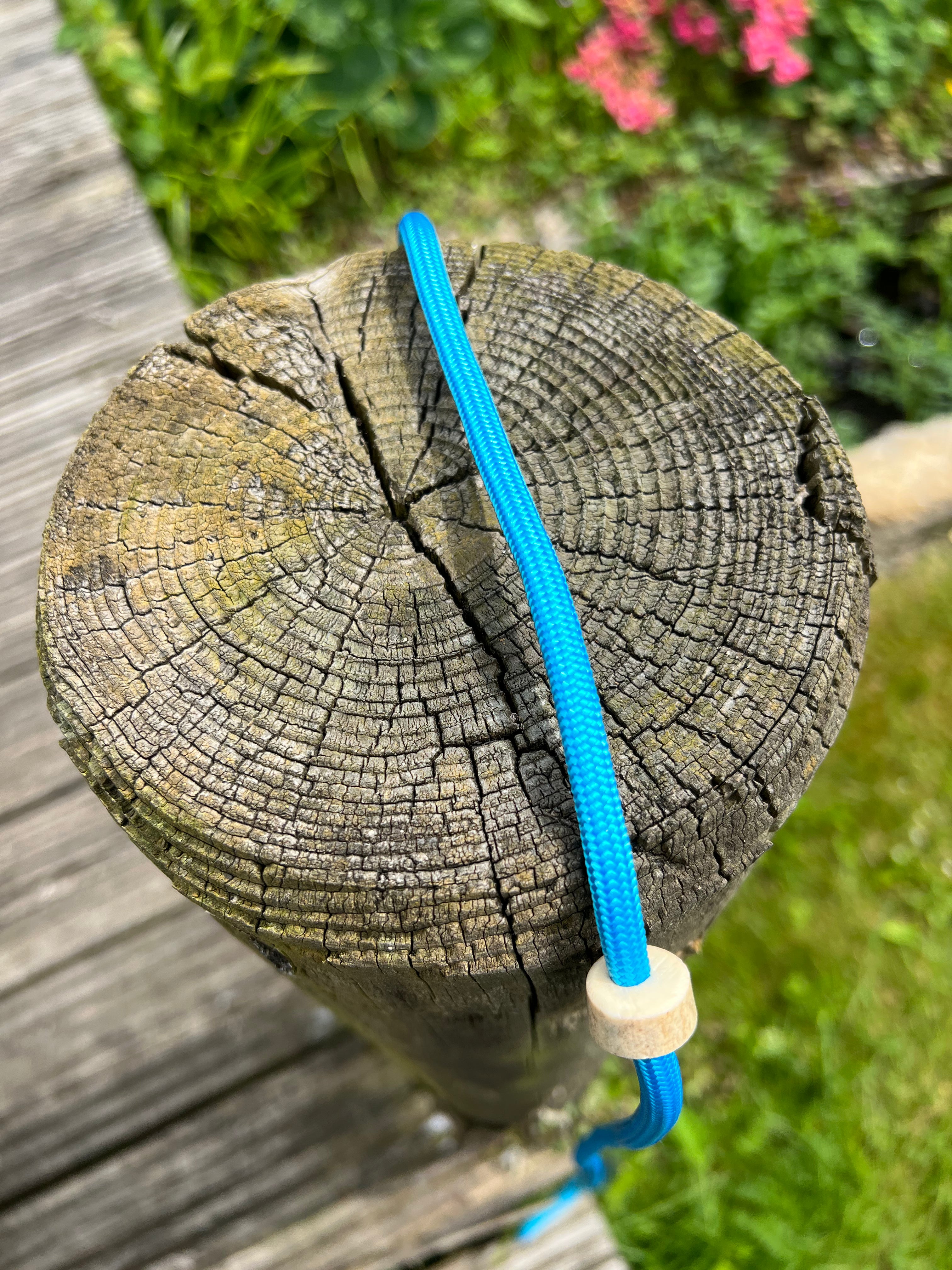 Firedog Field Trial Slip Leads