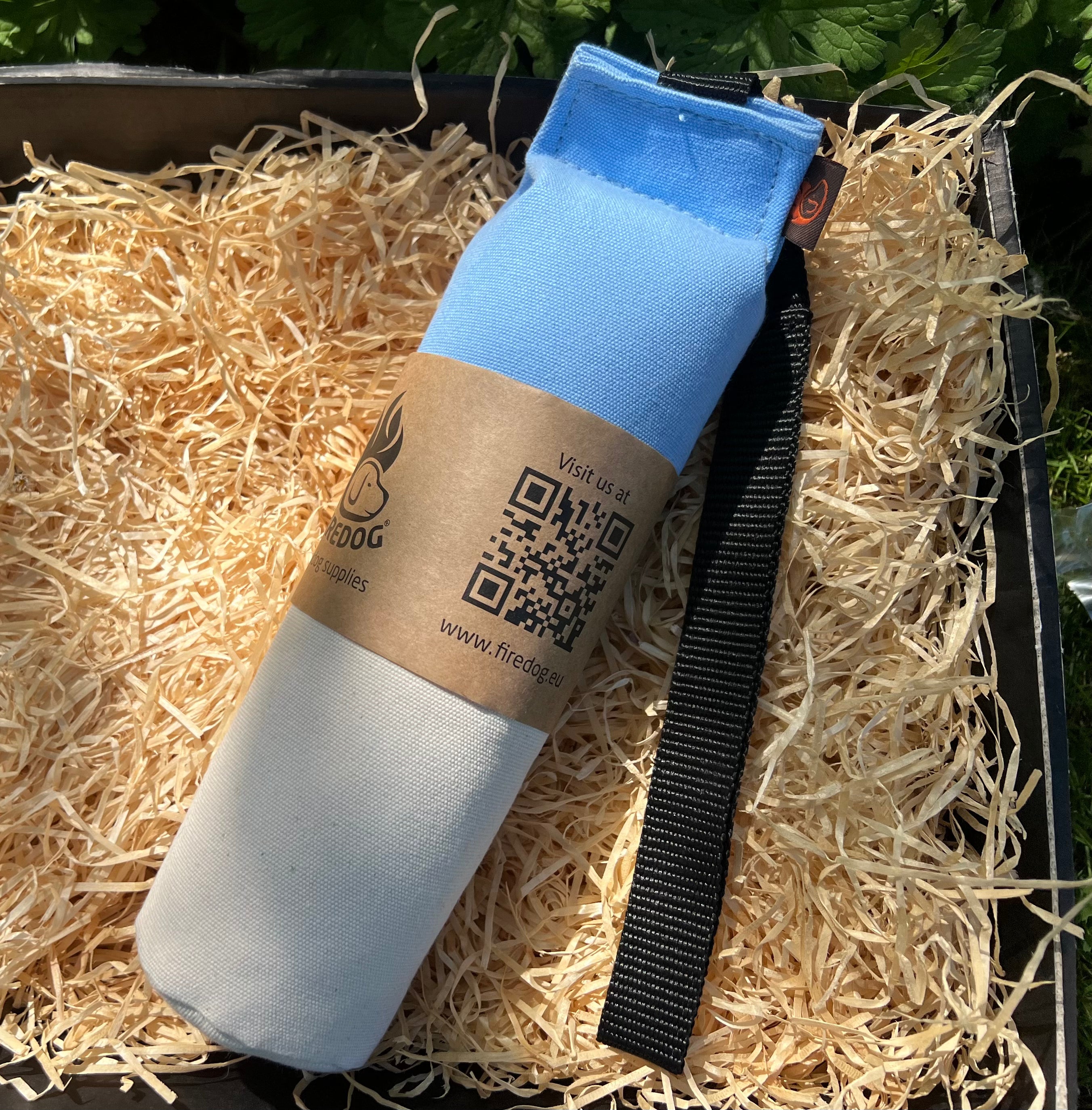 Firedog Speedy 500g Dummies