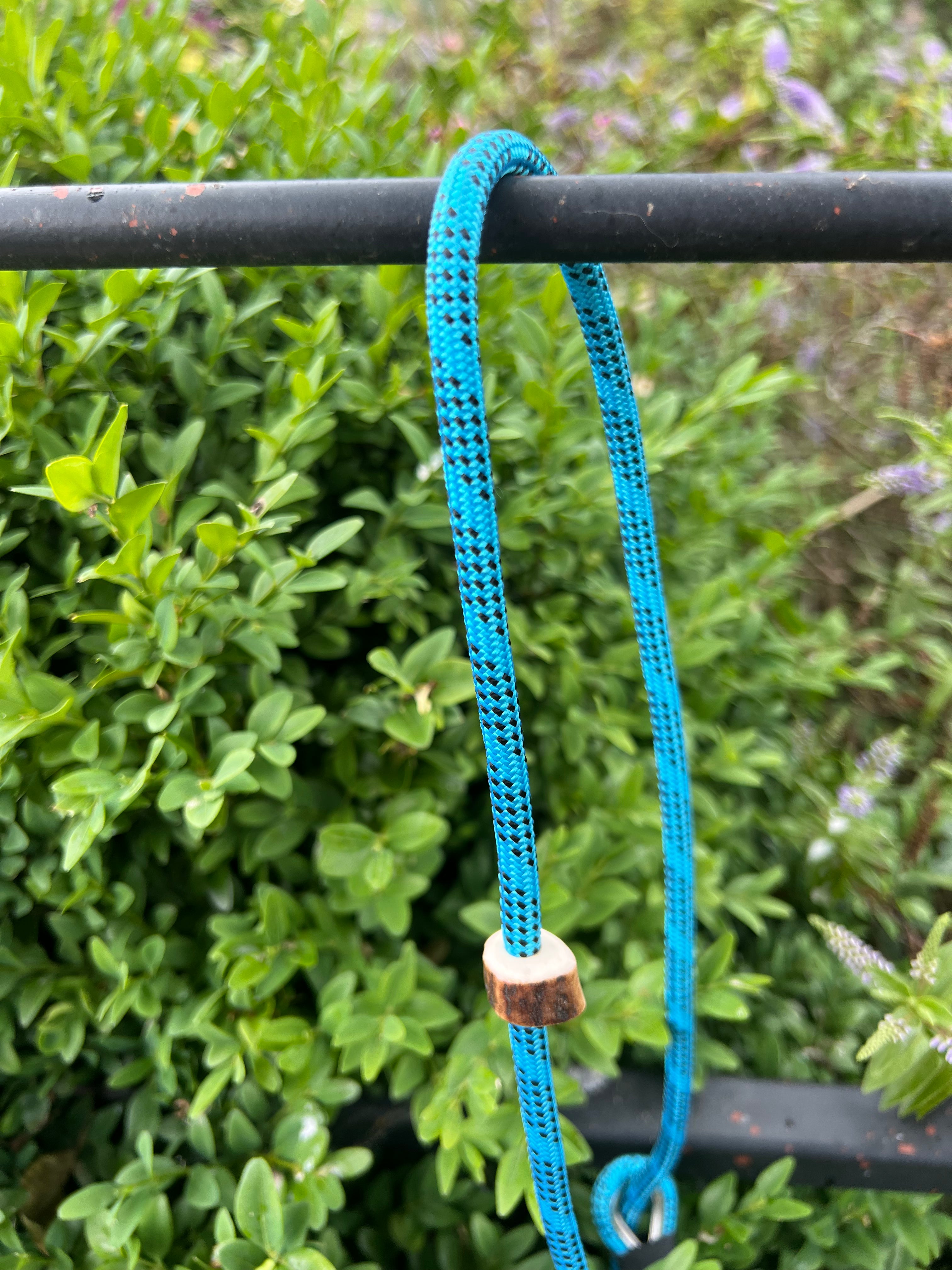 Firedog Field Trial Slip Leads