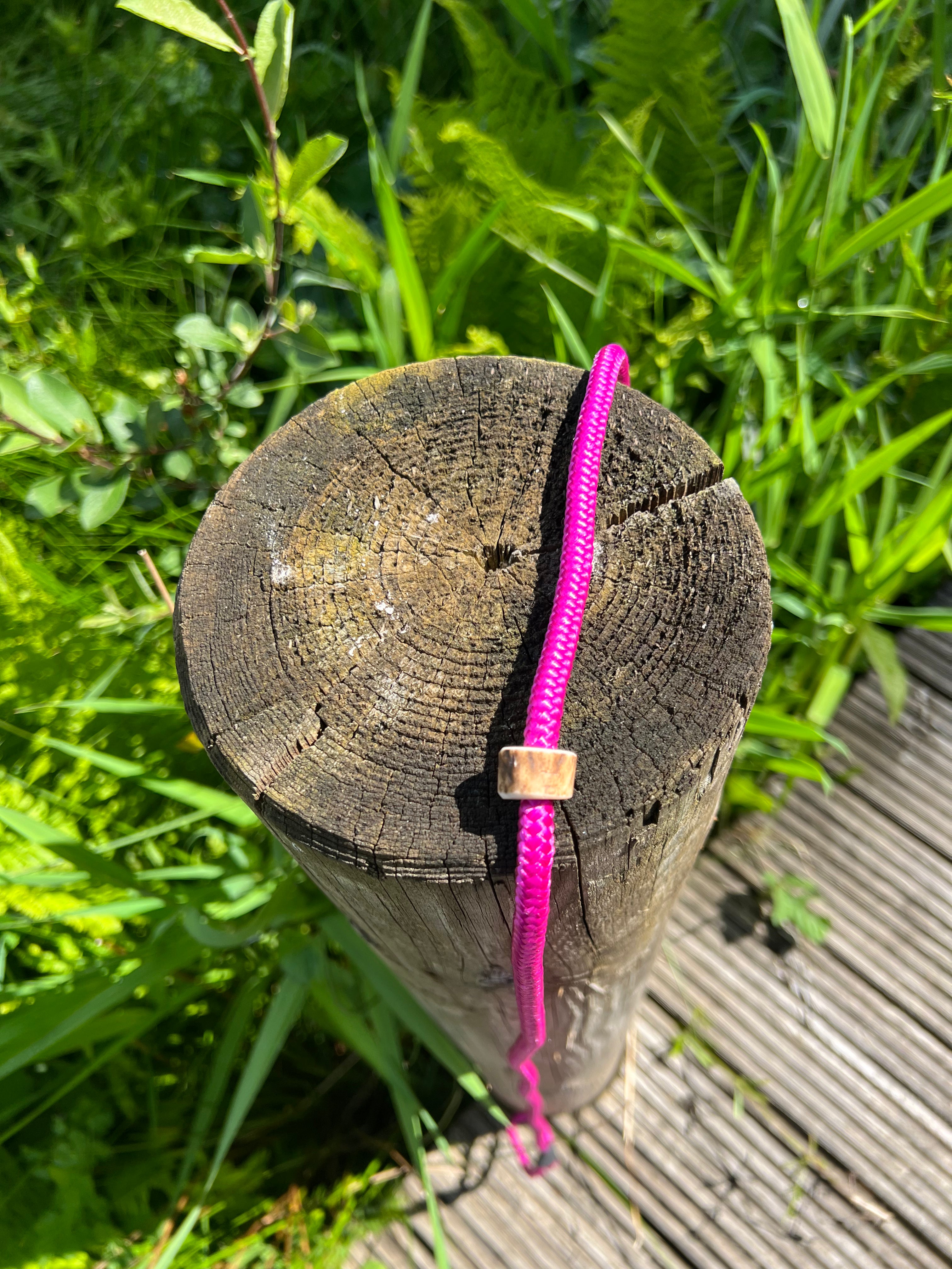 Firedog Field Trial Slip Leads