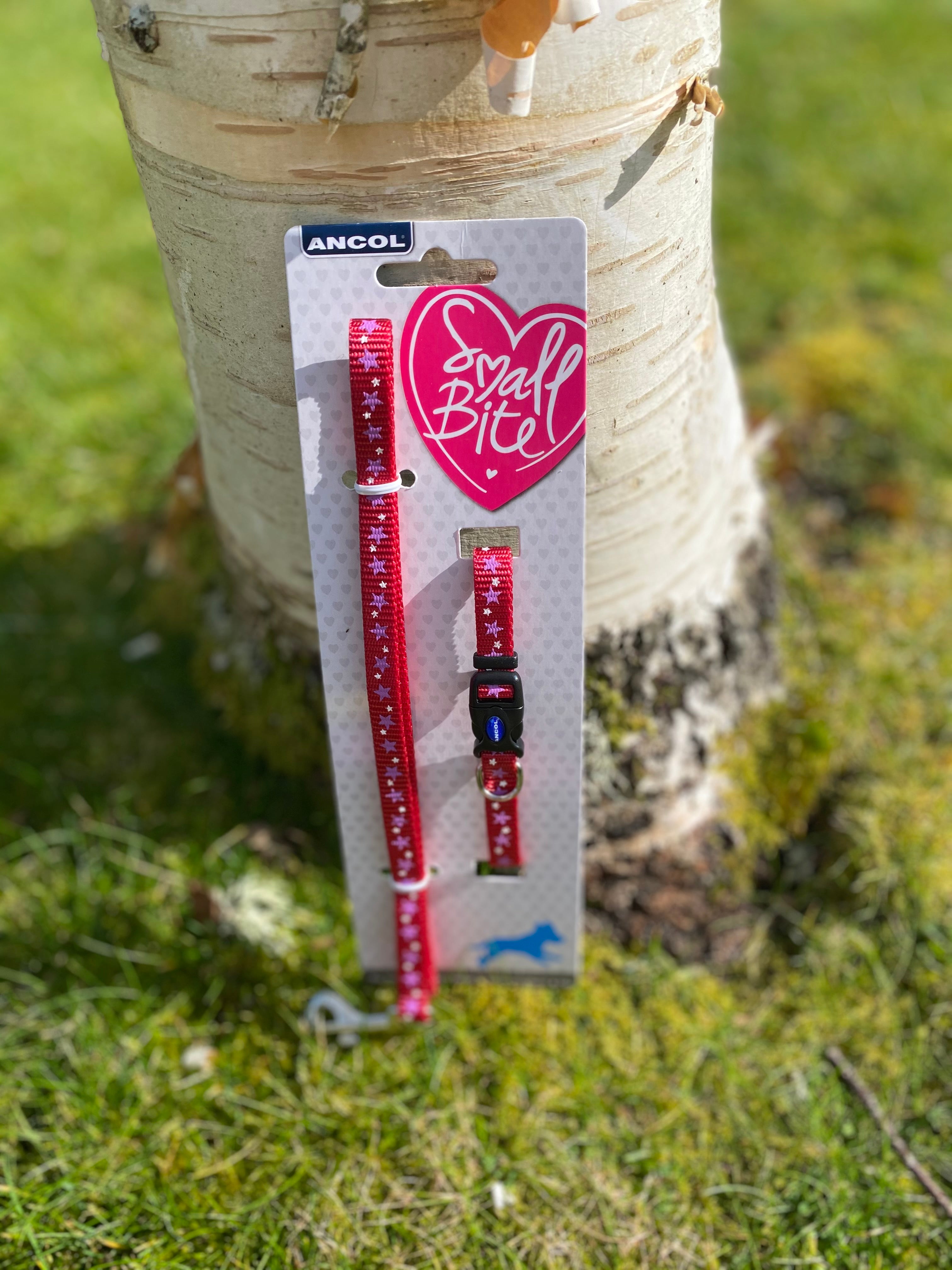 Puppy Clip lead and collar