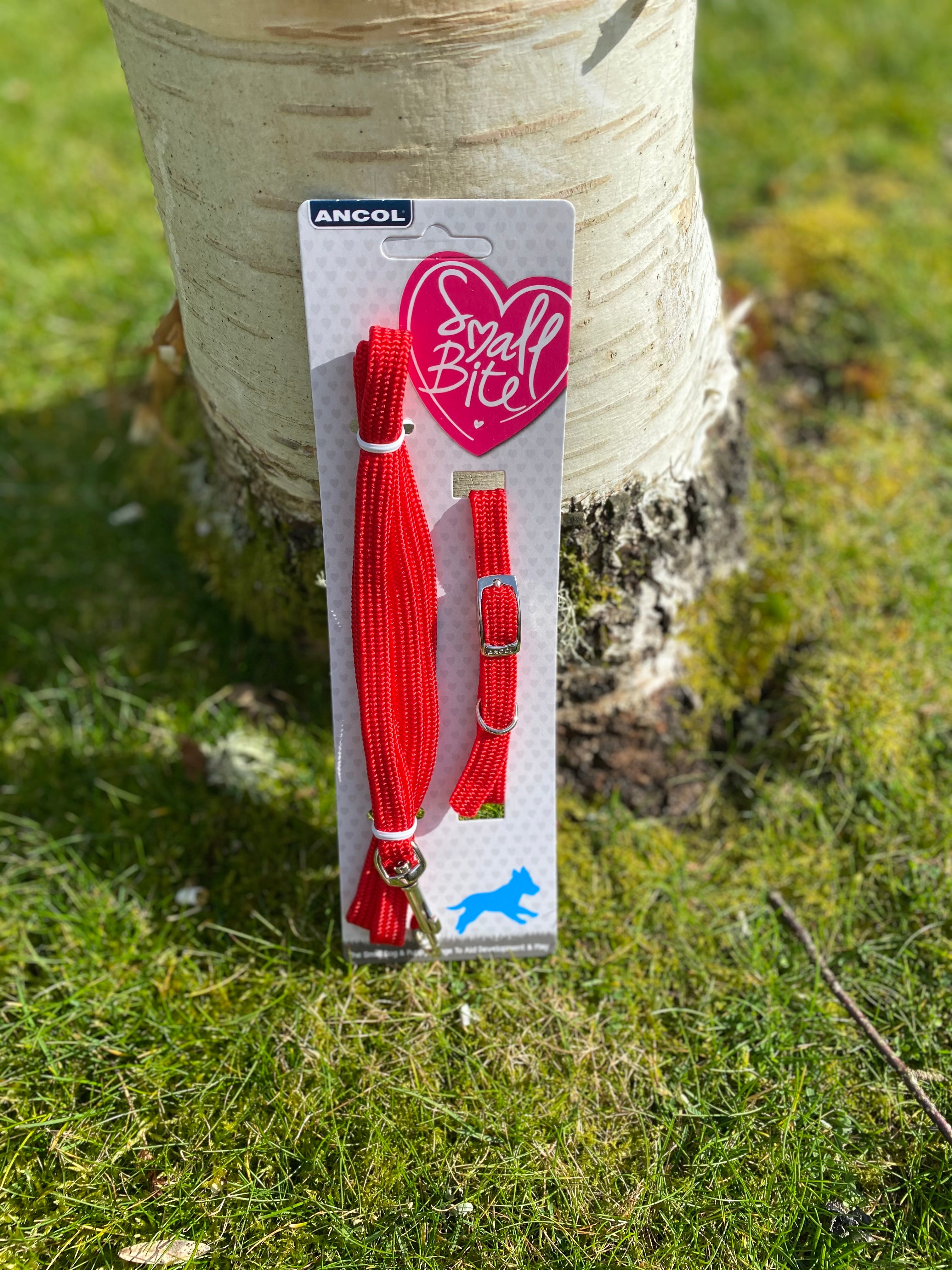 Puppy Clip lead and collar