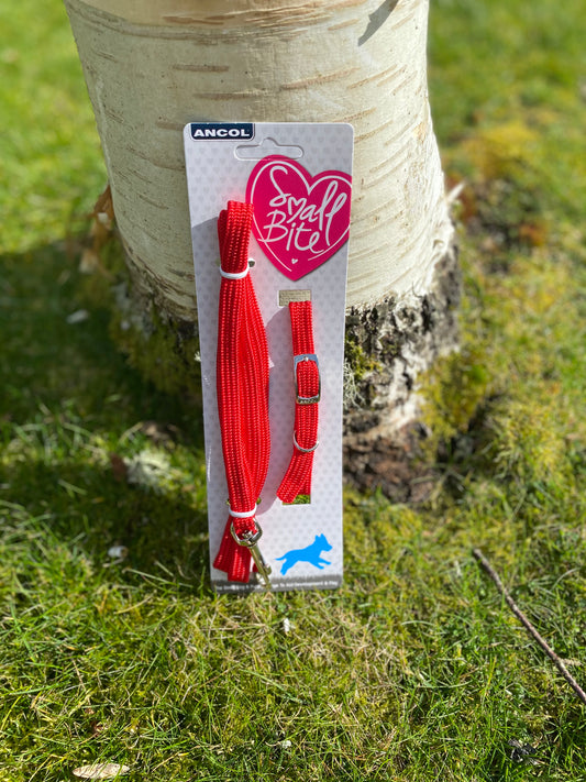 Puppy Clip Lead and Collar Set