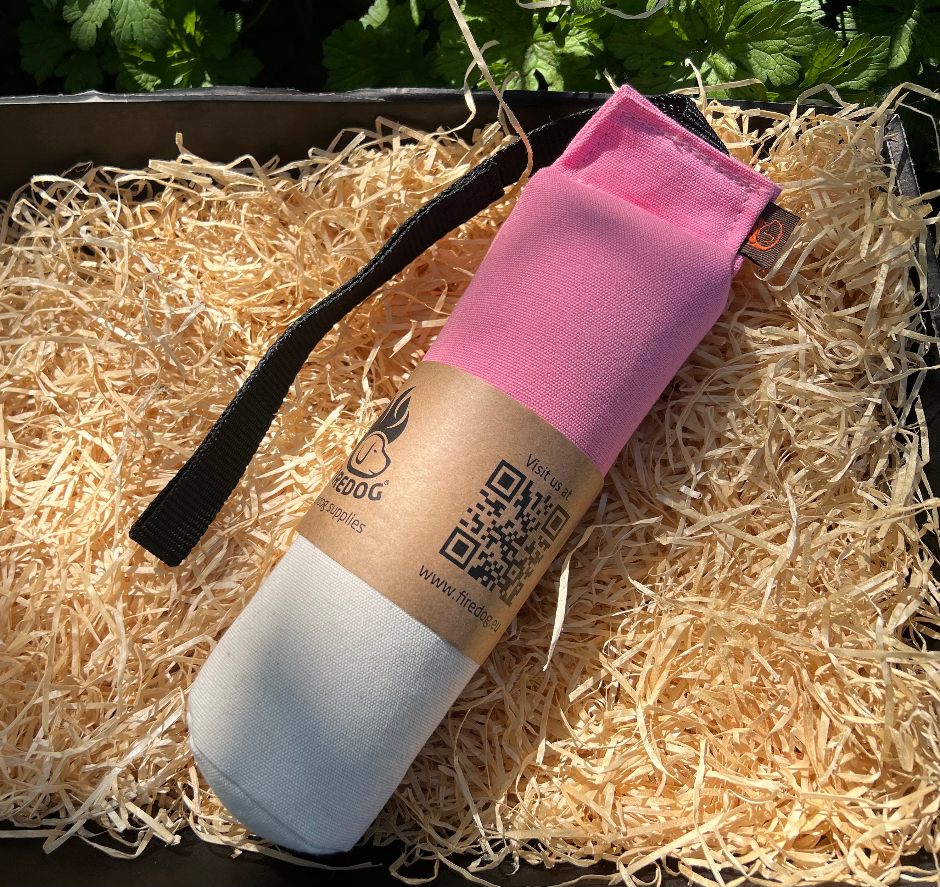 Firedog Speedy 500g Dummies