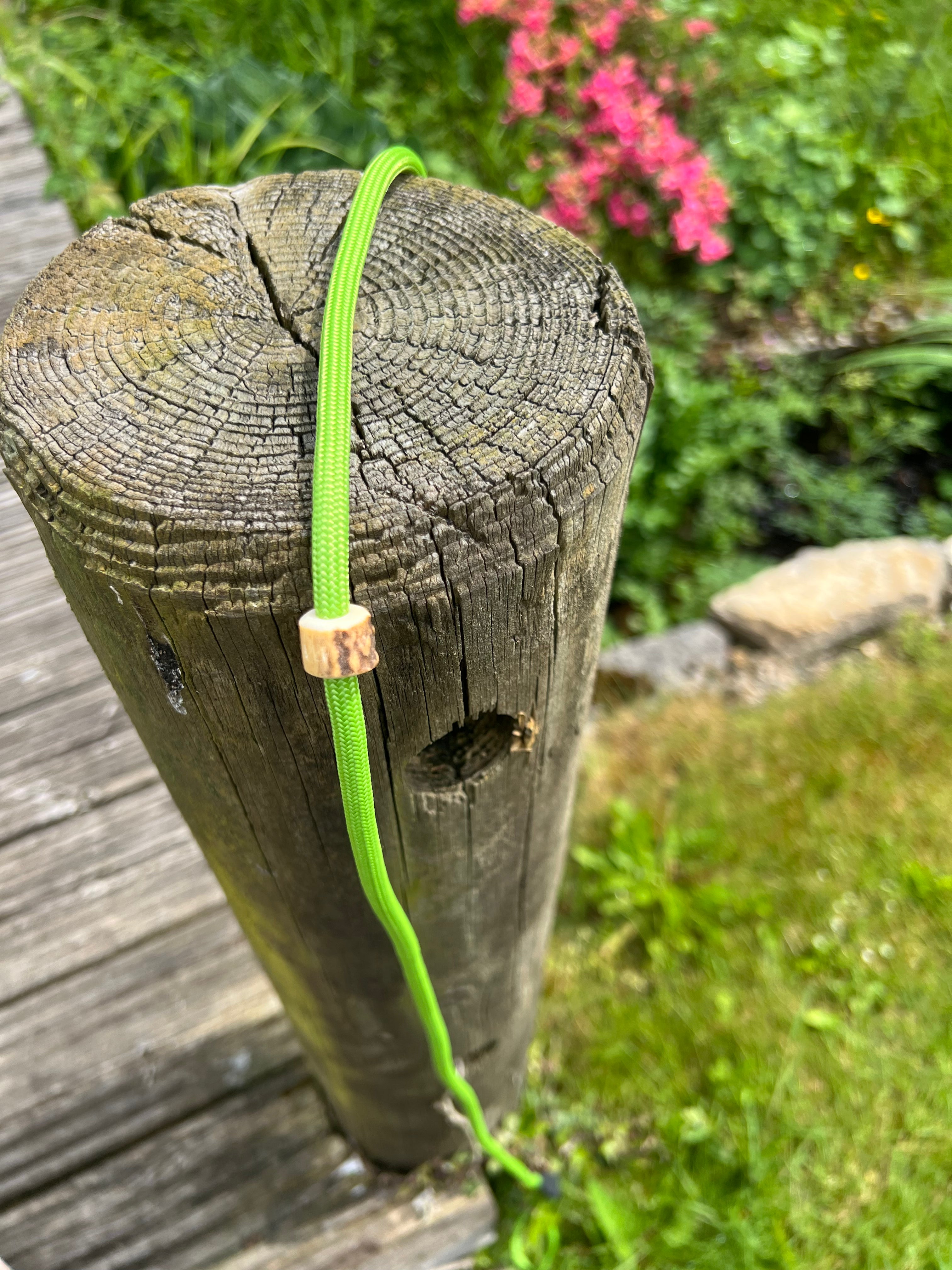 Firedog Field Trial Slip Leads