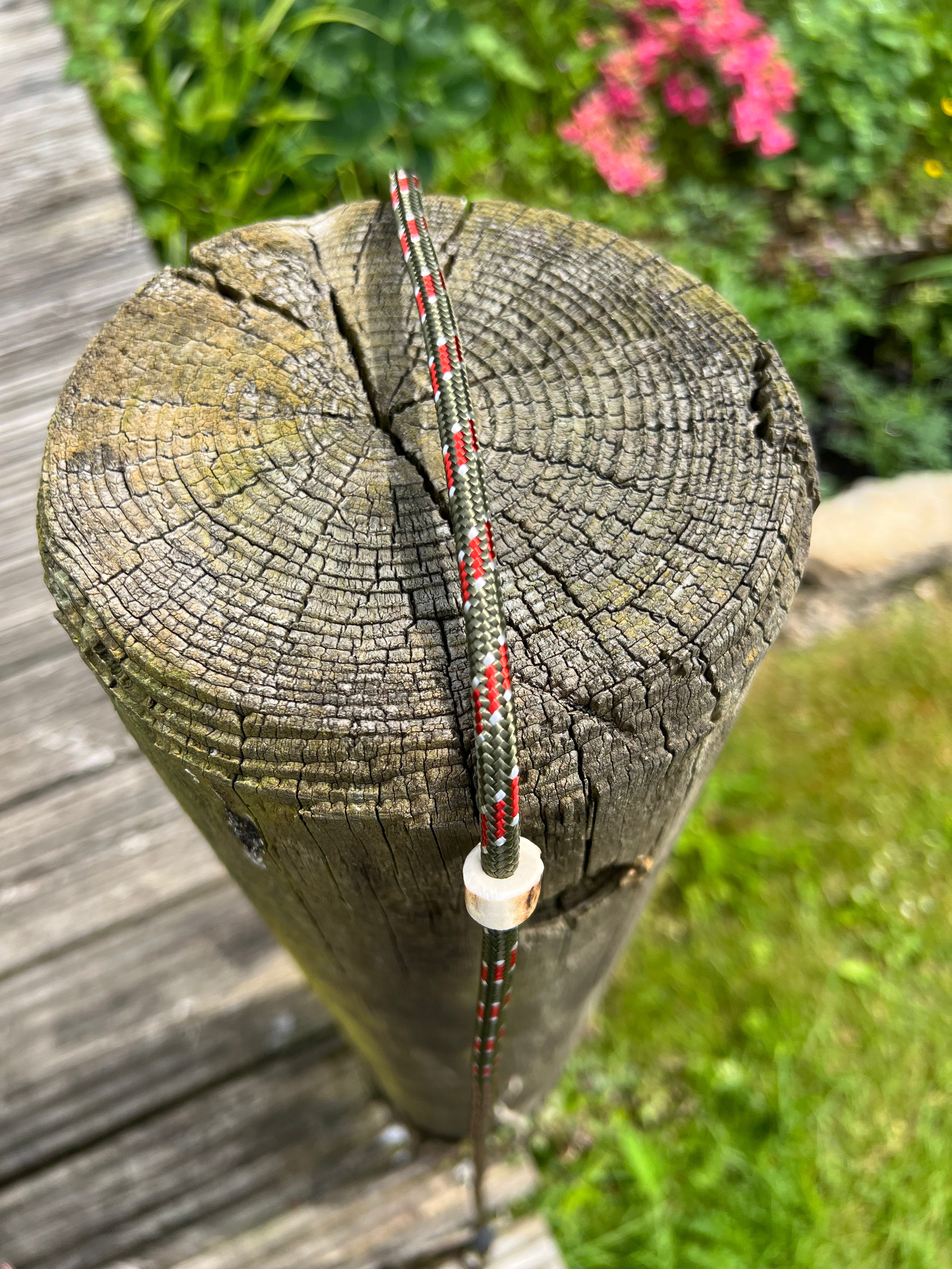 Firedog Field Trial Slip Leads