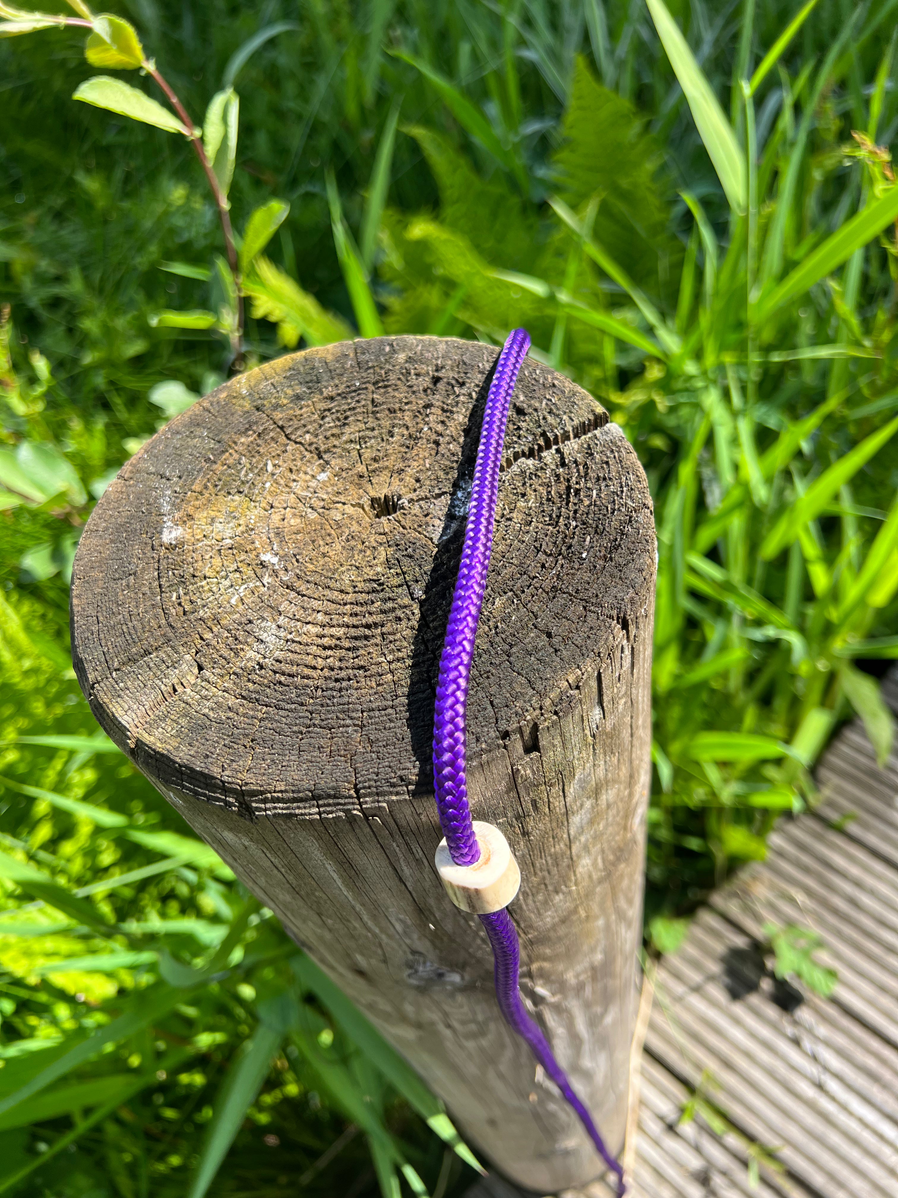 Firedog Field Trial Slip Leads