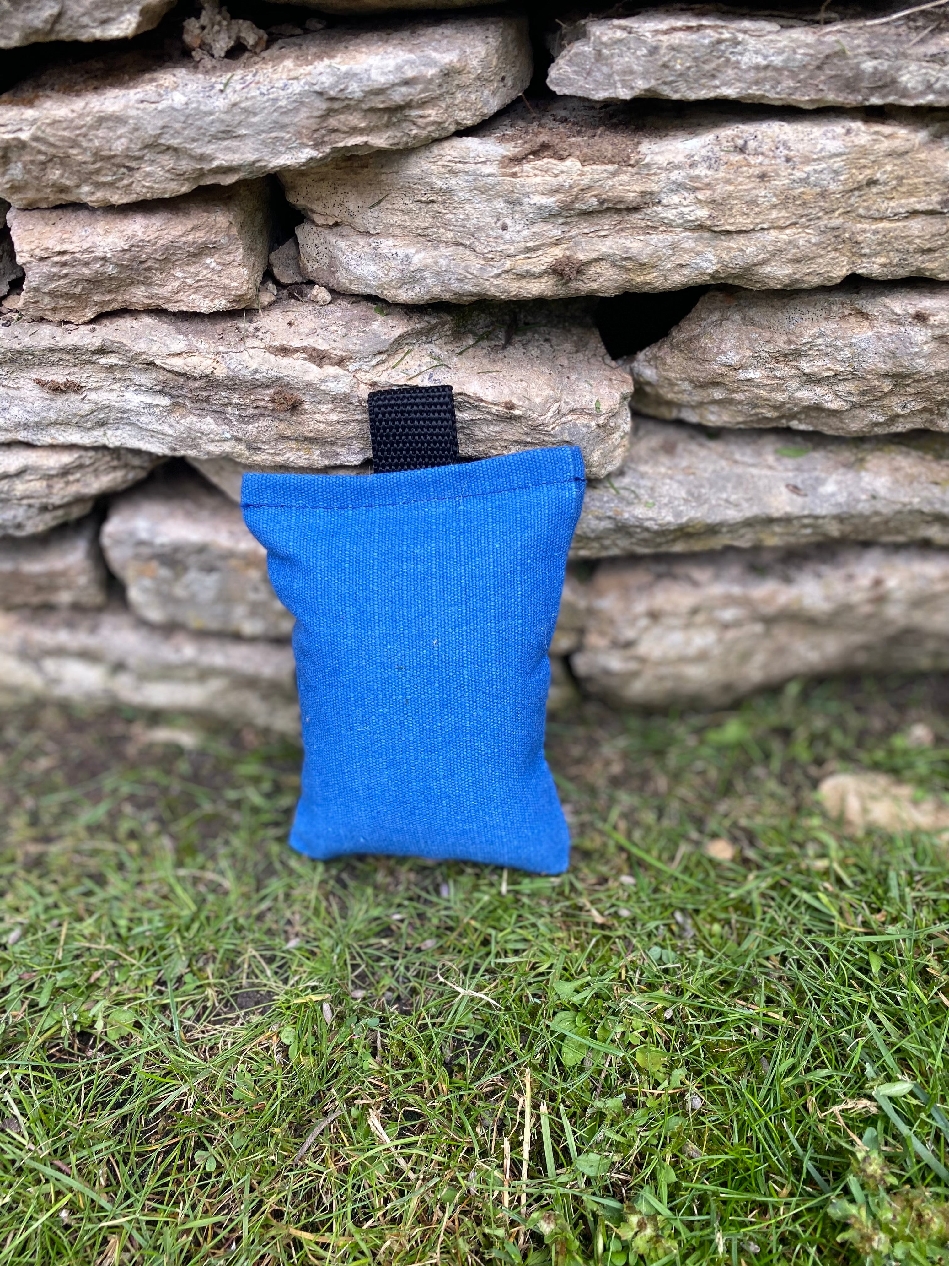 Sporting Saint Puppy Dummy