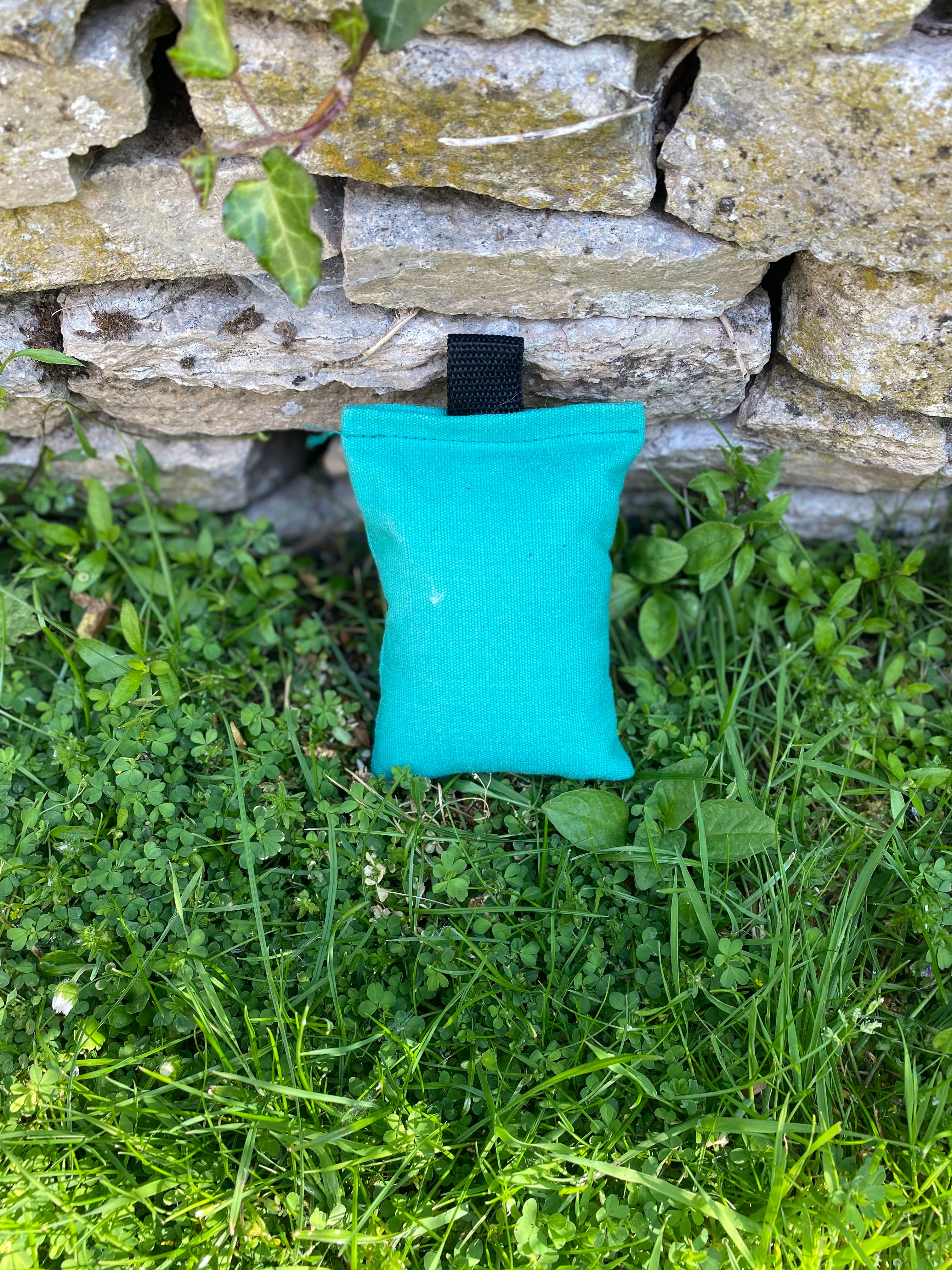 Sporting Saint Puppy Dummy