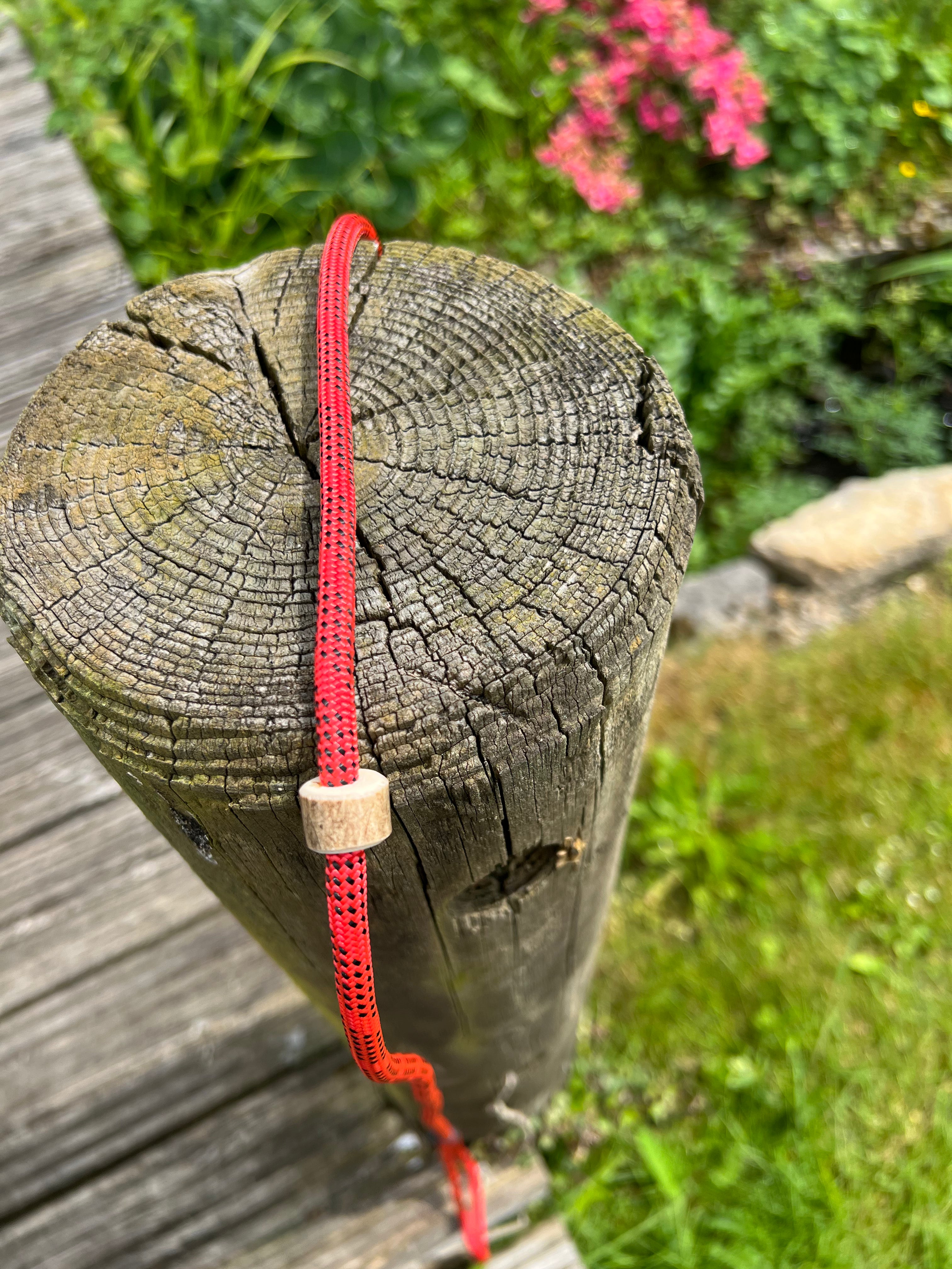 Firedog Field Trial Slip Leads