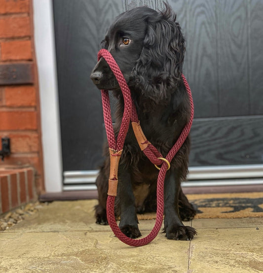 Ruff and Tumble Slip and Clip Leads