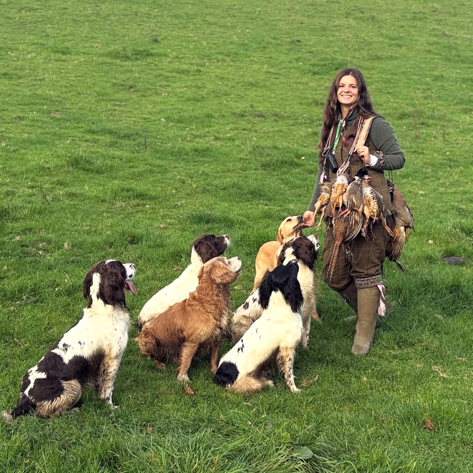 Q & A | Alannah - Broadwidge Gundogs