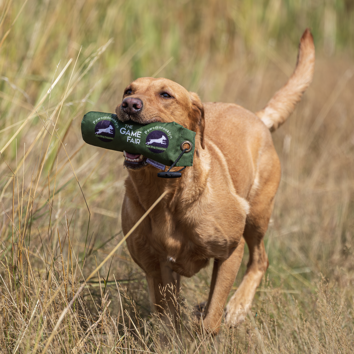 Paws@Brooklyn Official Gundog Equipment Supplier at The Game Fair 2025