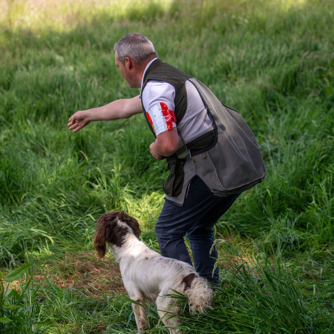 Paws@Brooklyn Sponsors Teams at the Just For Friends International Spaniel Team Challenge