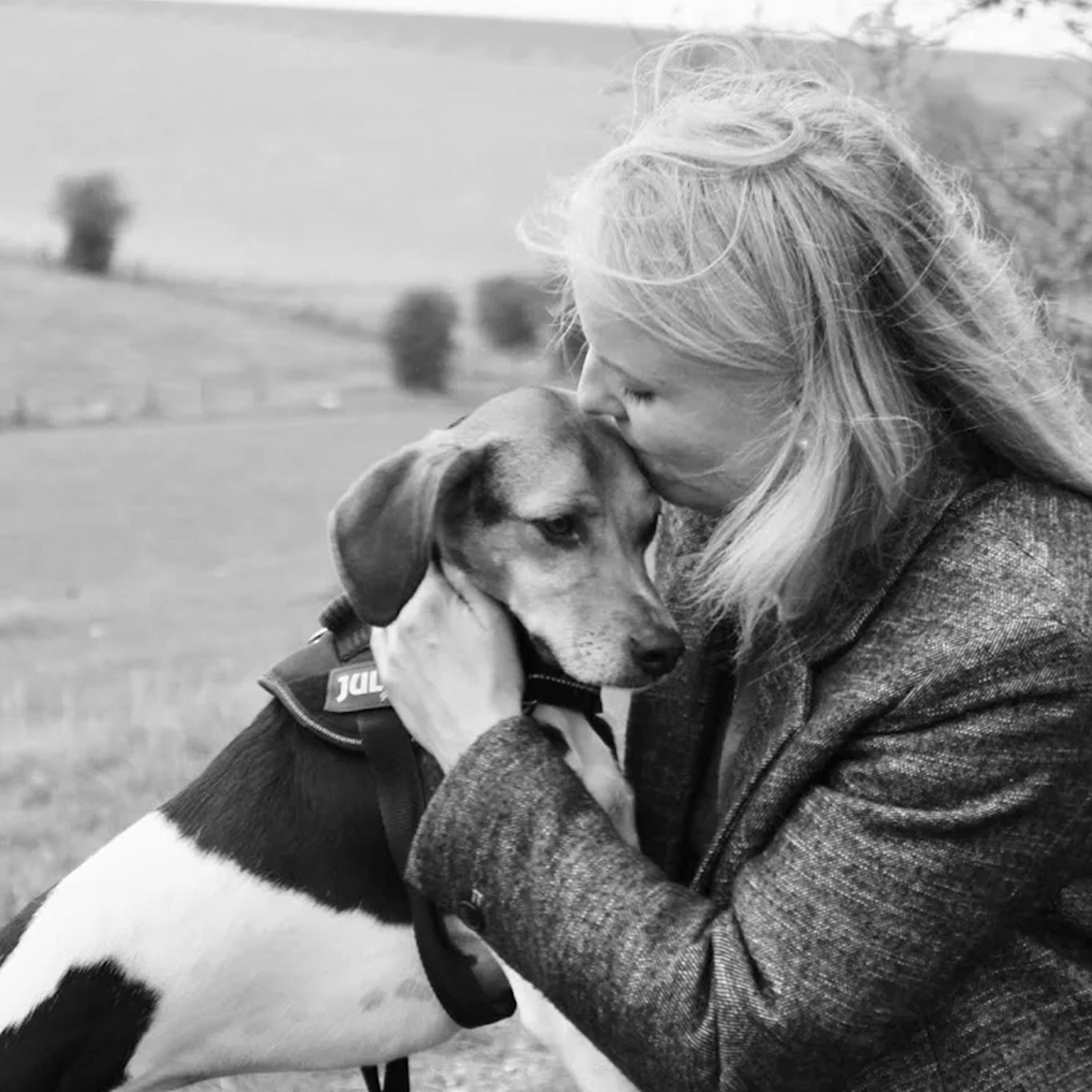 Q & A | Karen - Maher and Hound