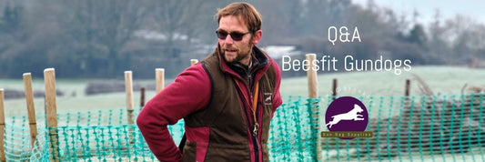 Beesfit Gundogs Q&A : Tips from ambassador @Beesfitgundogs