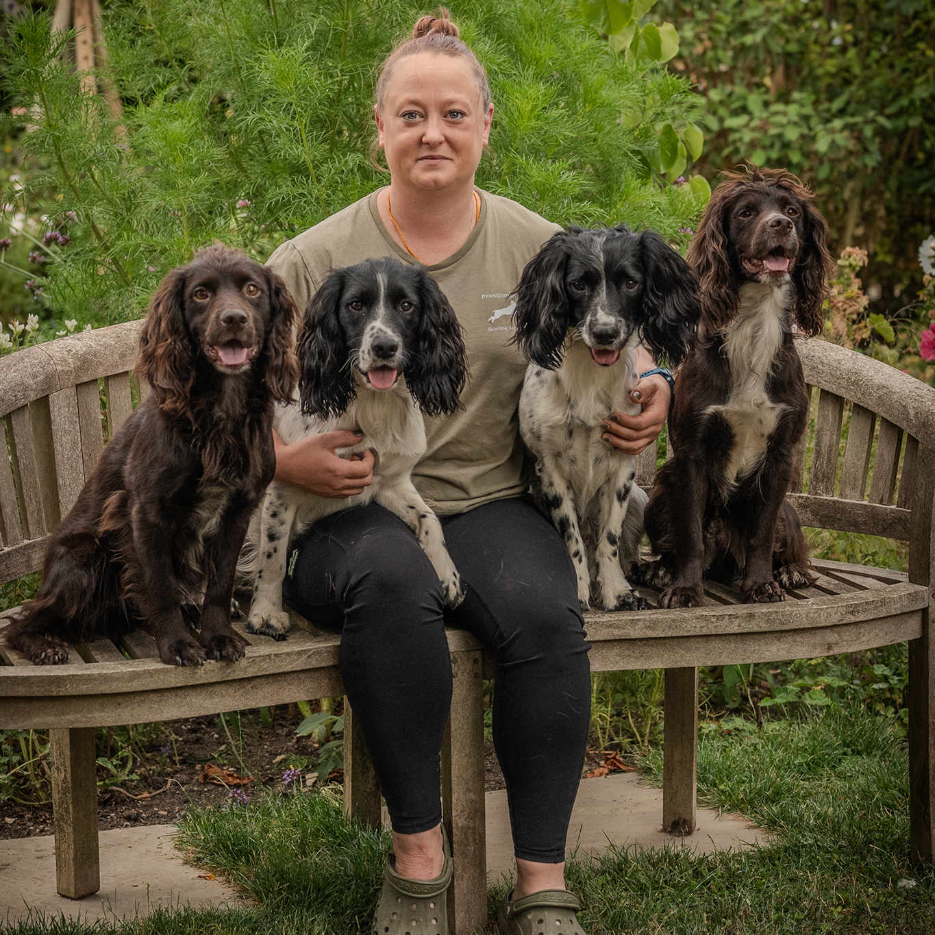 Q & A | Steph - Ravensyard Spaniels