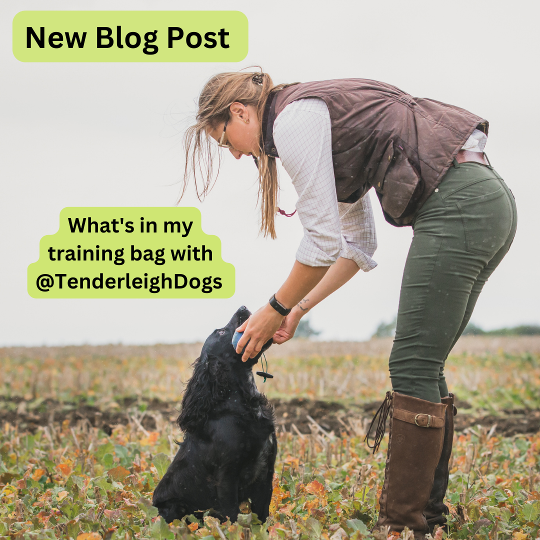 New Blog!! What to keep in your training bag by Tenderleigh Dog Training