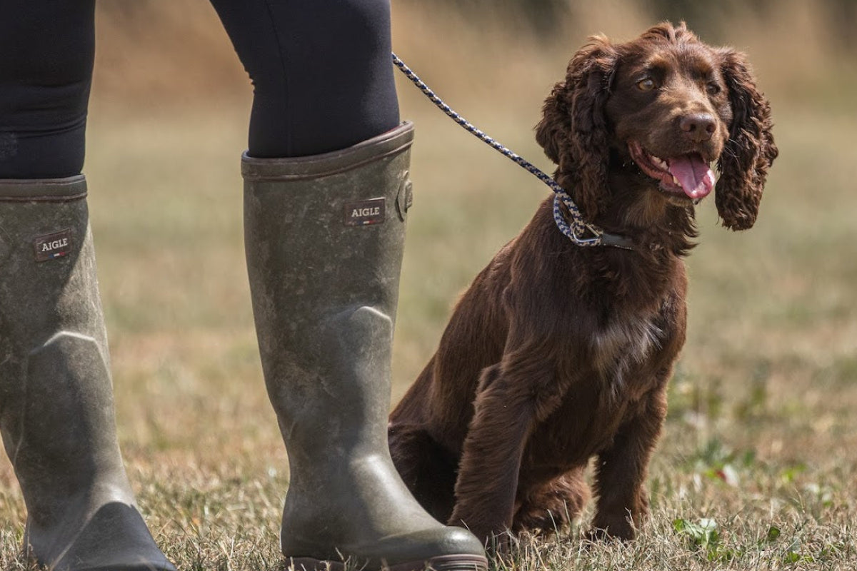 Paws@Brooklyn Guide | Using a Slip Lead