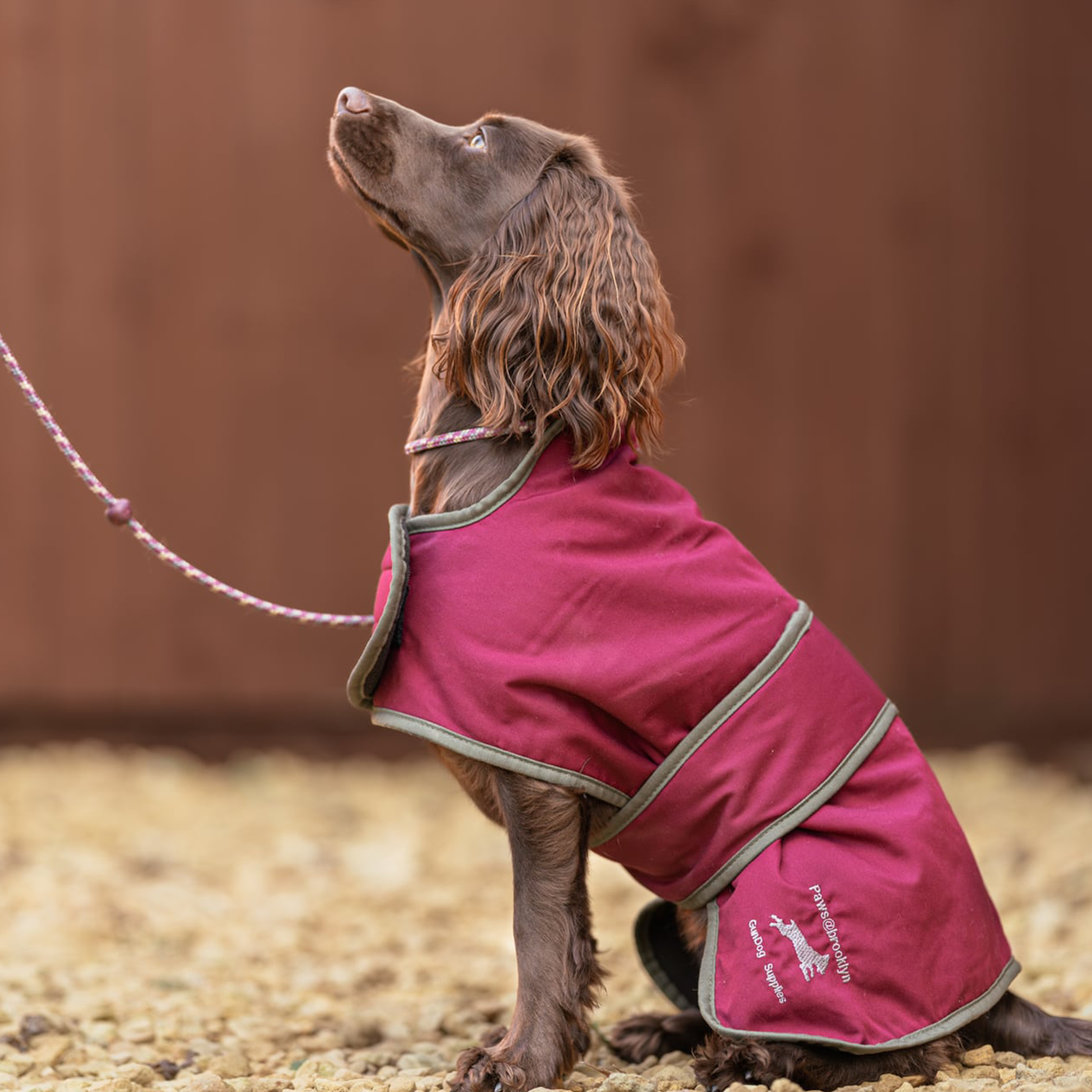 Dog Coats and Drying Coats