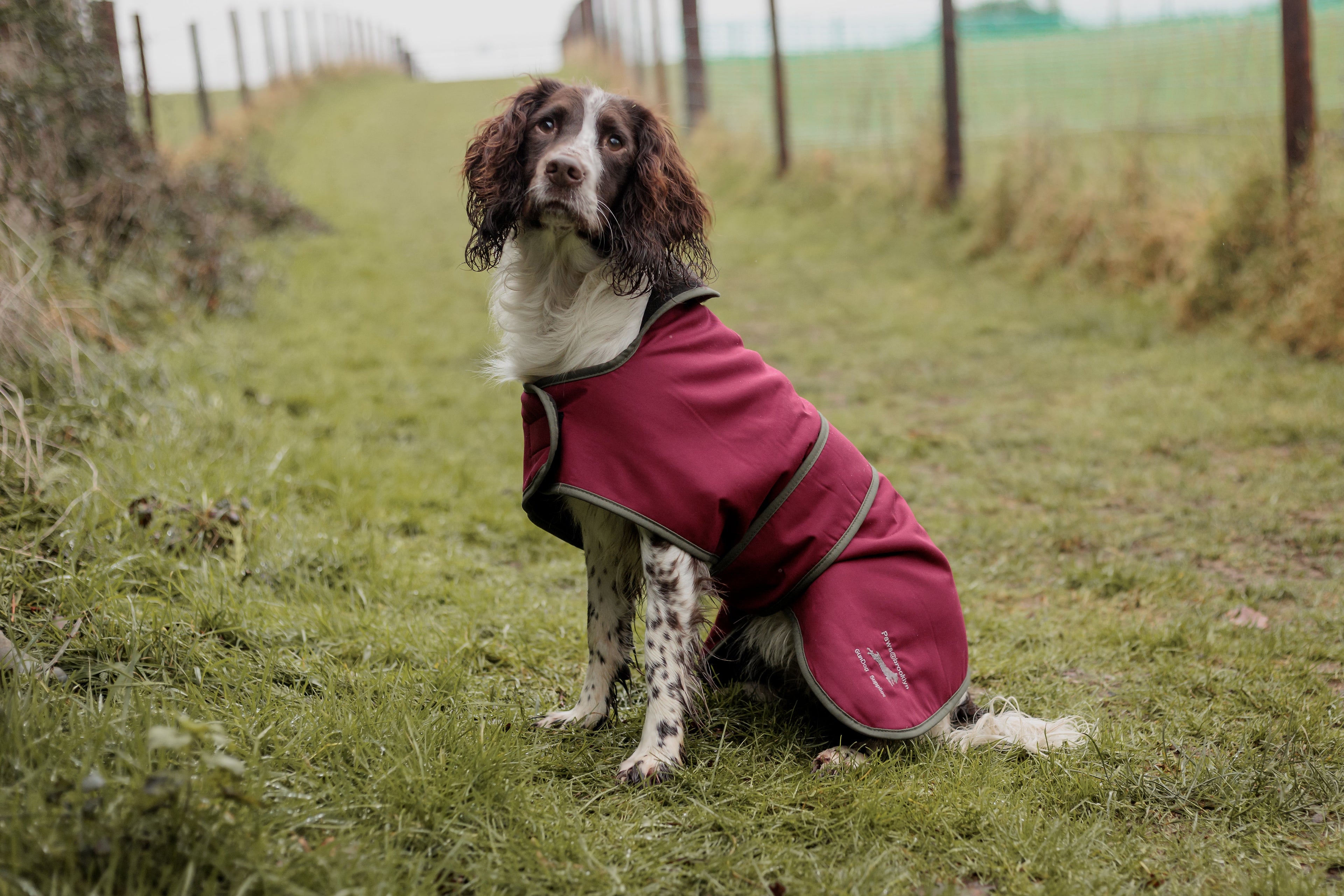 Dog Coats and Drying Coats