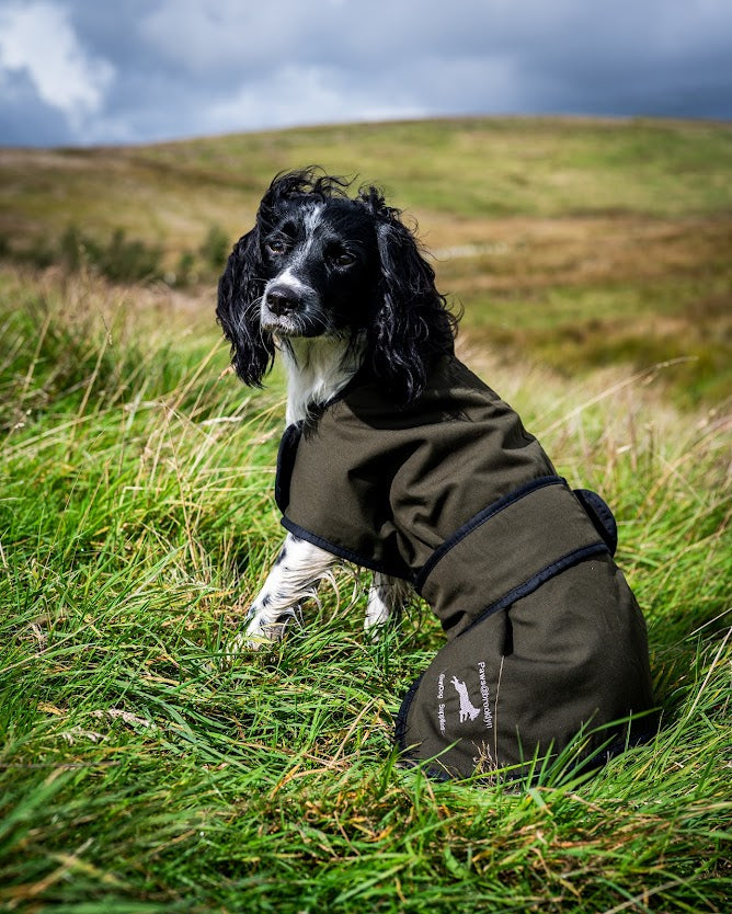 Dog Coats & Drying Coats