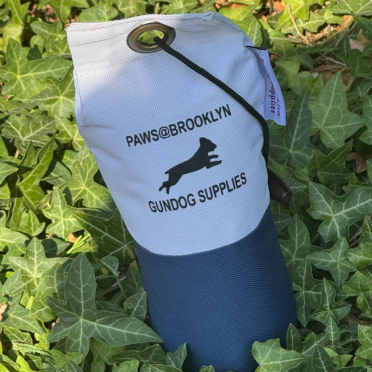 Paws@Brooklyn Dummies