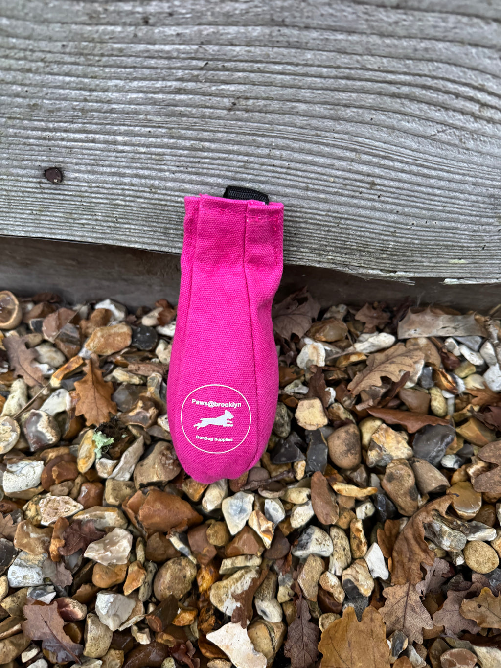 Paws@brooklyn Speedy Dummy Balls