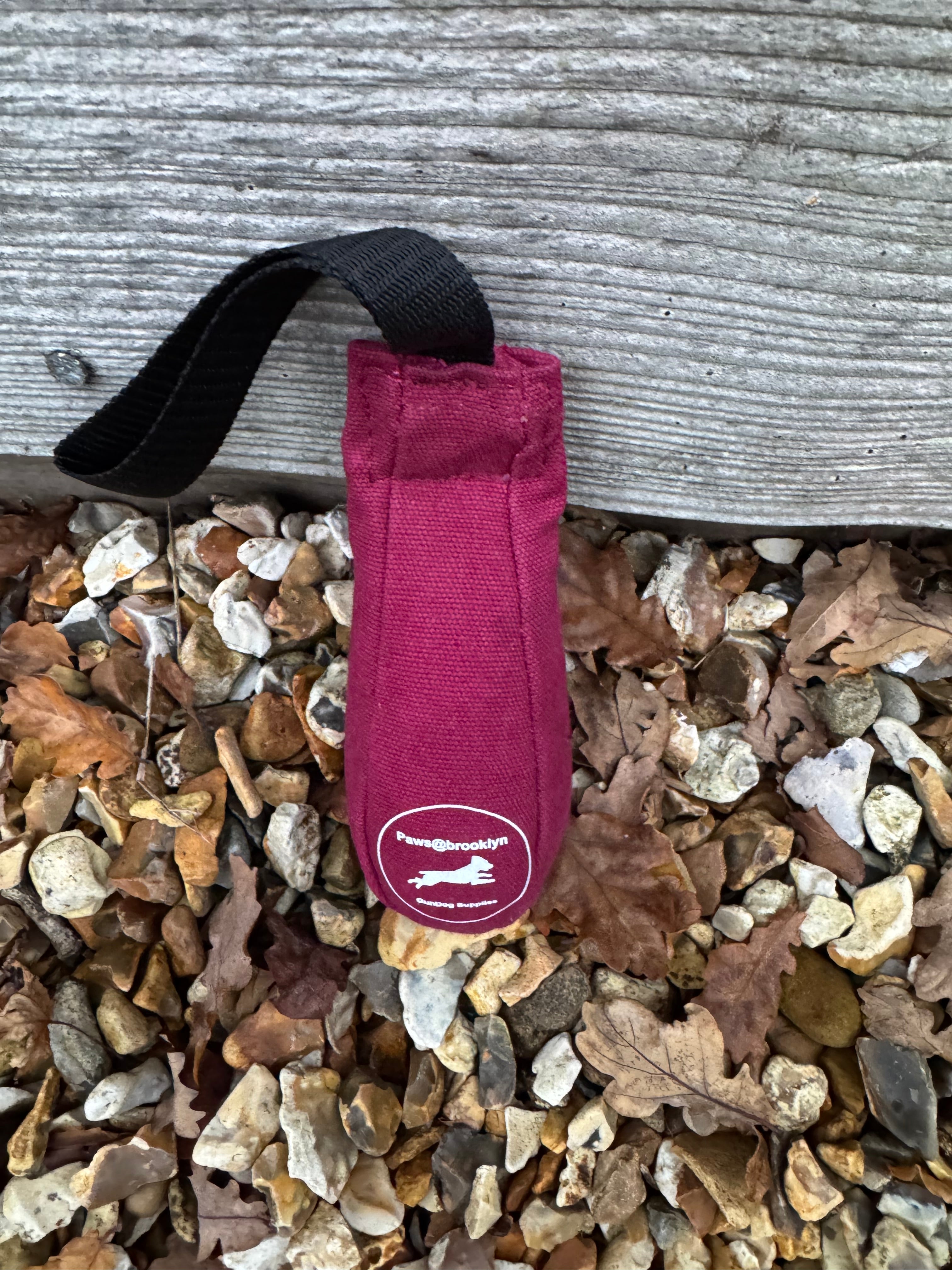 Paws@brooklyn Speedy Dummy Balls