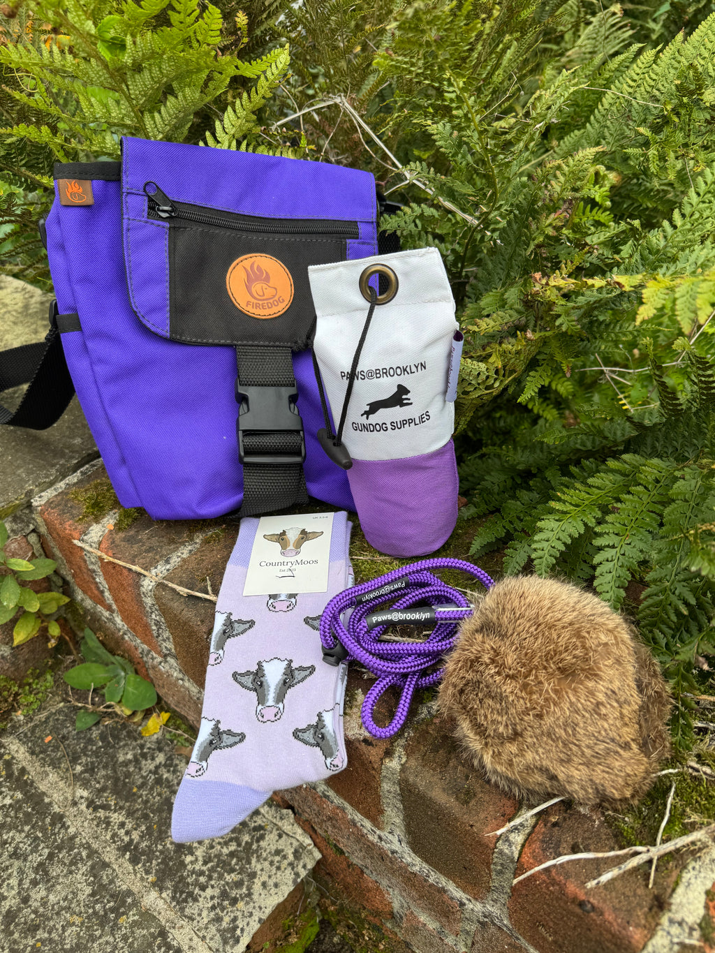 Paws@brooklyn Young Handler Starter Kit