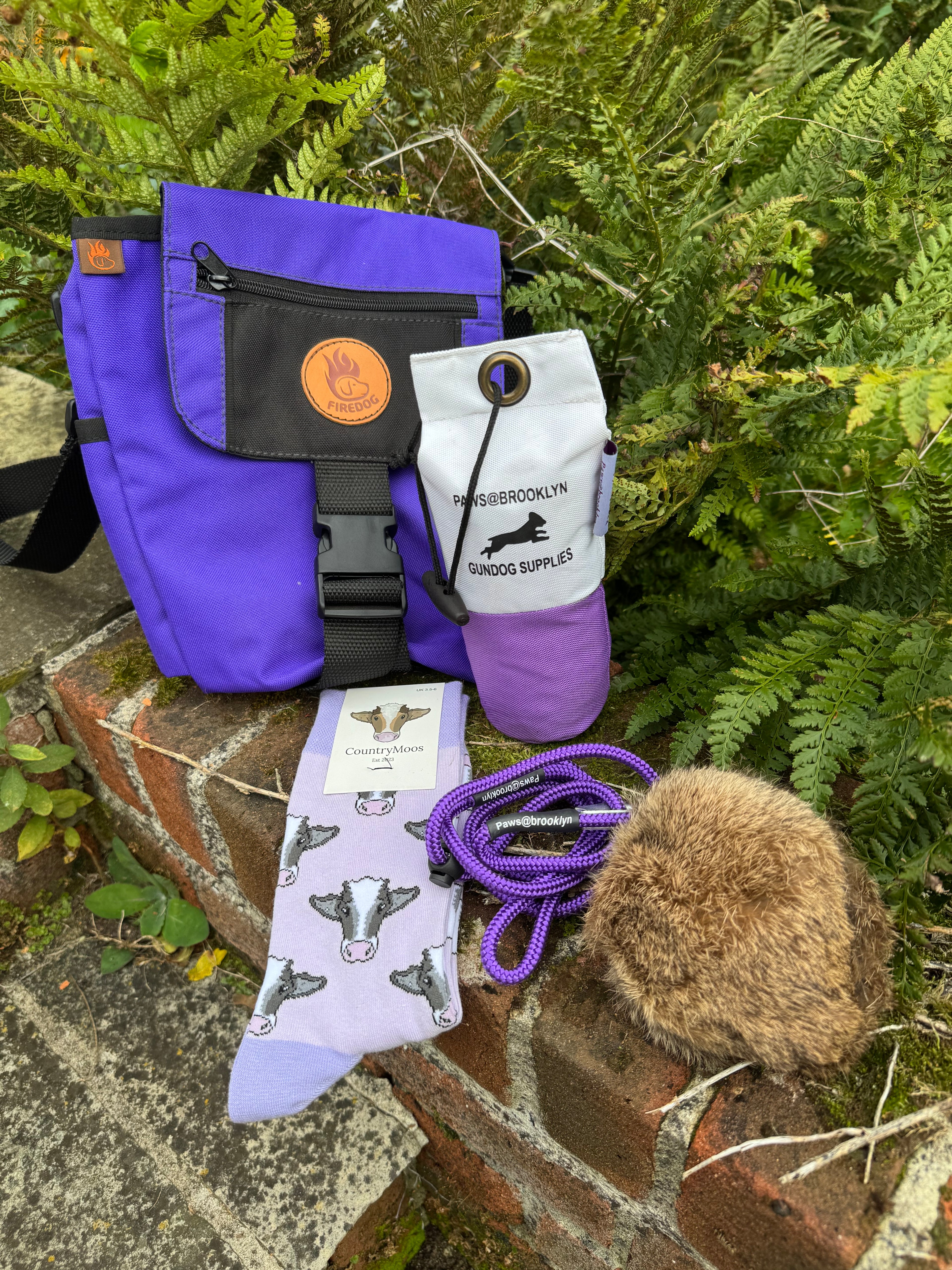 Paws@brooklyn Young Handler Starter Kit