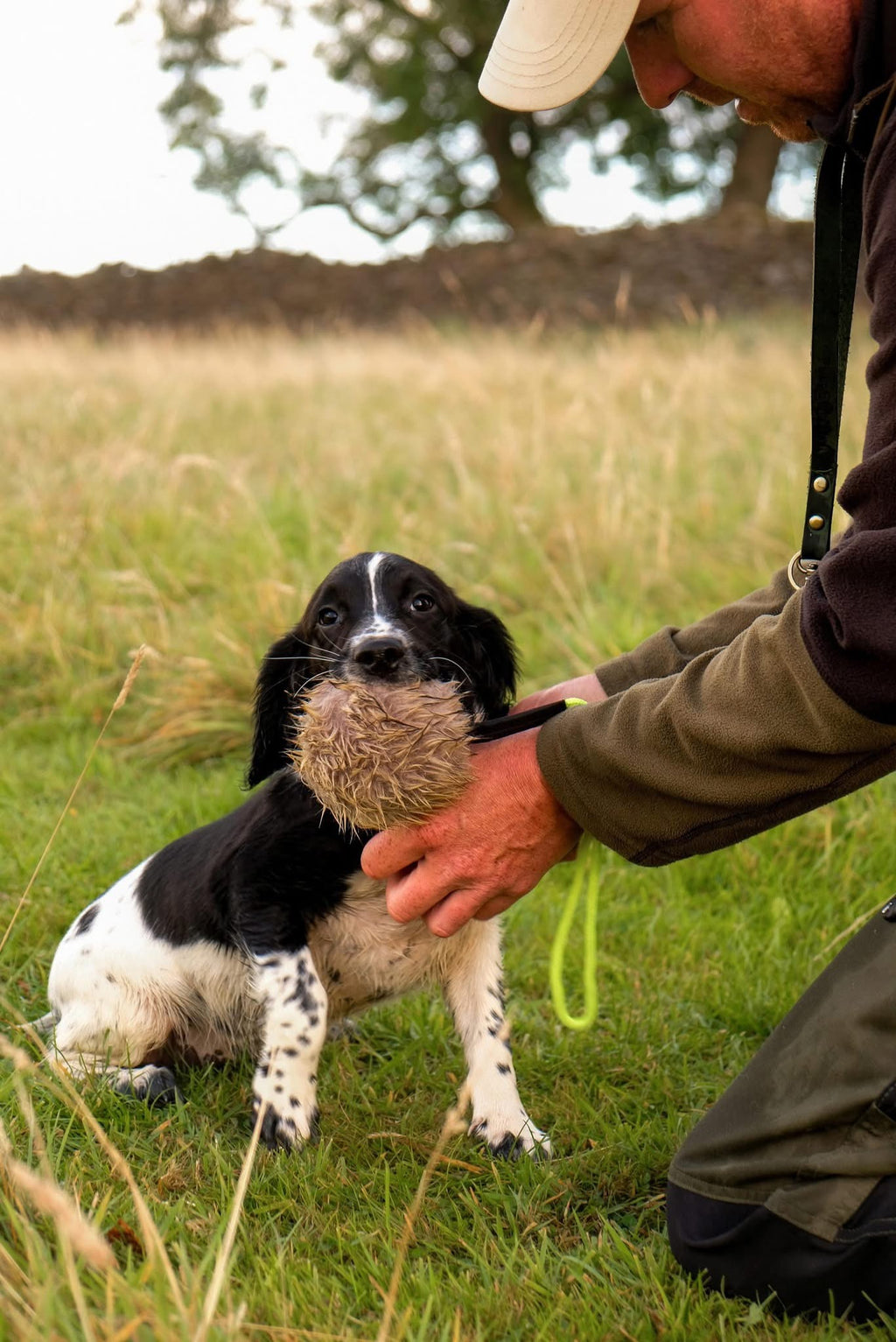 Paws@brooklyn Fur Balls with throwing handle