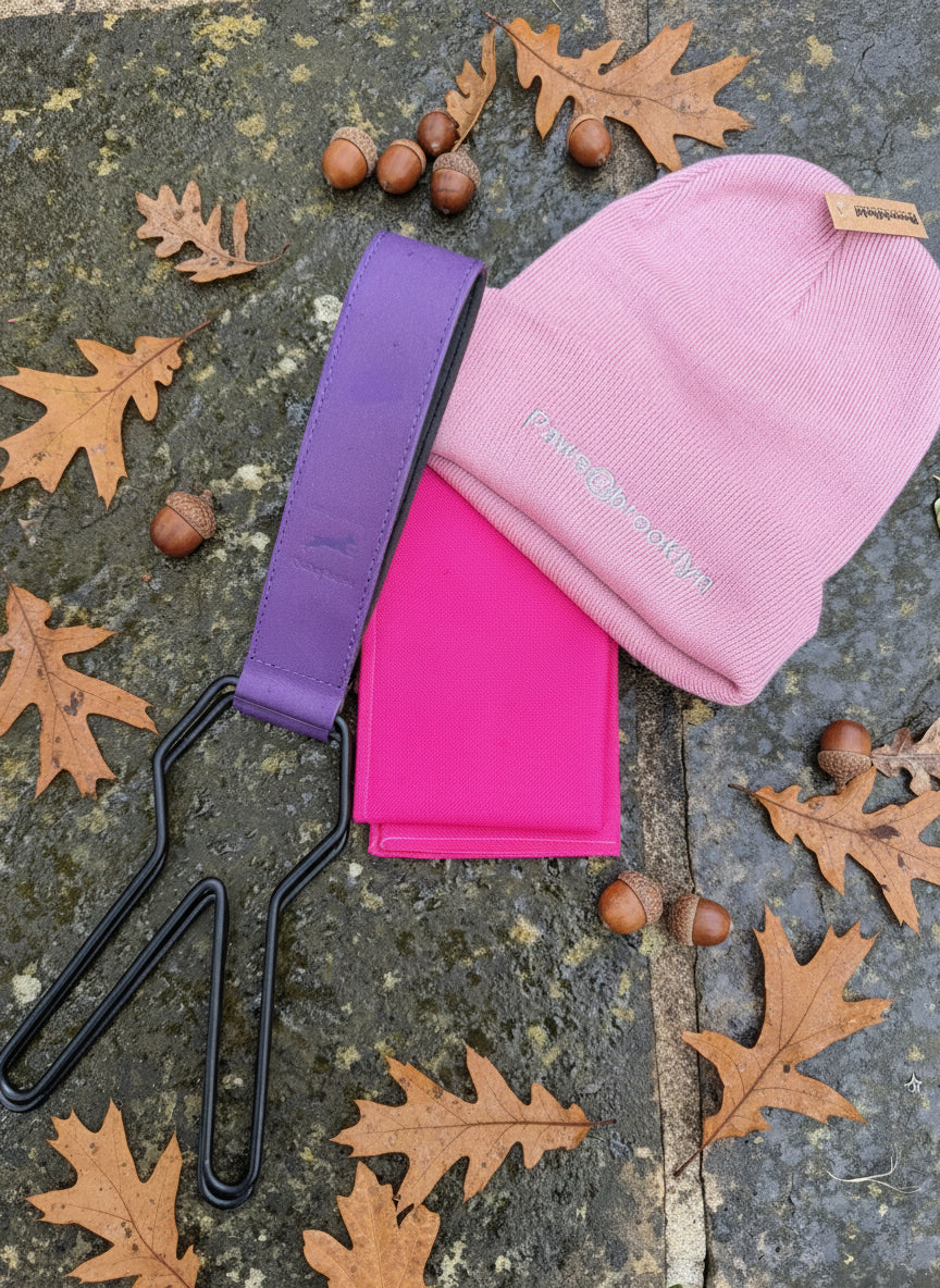 Paws@brooklyn Christmas Special Offer for Handlers