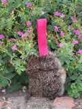 Paws@Brooklyn Rabbit Dummy Balls with Throwing Straps