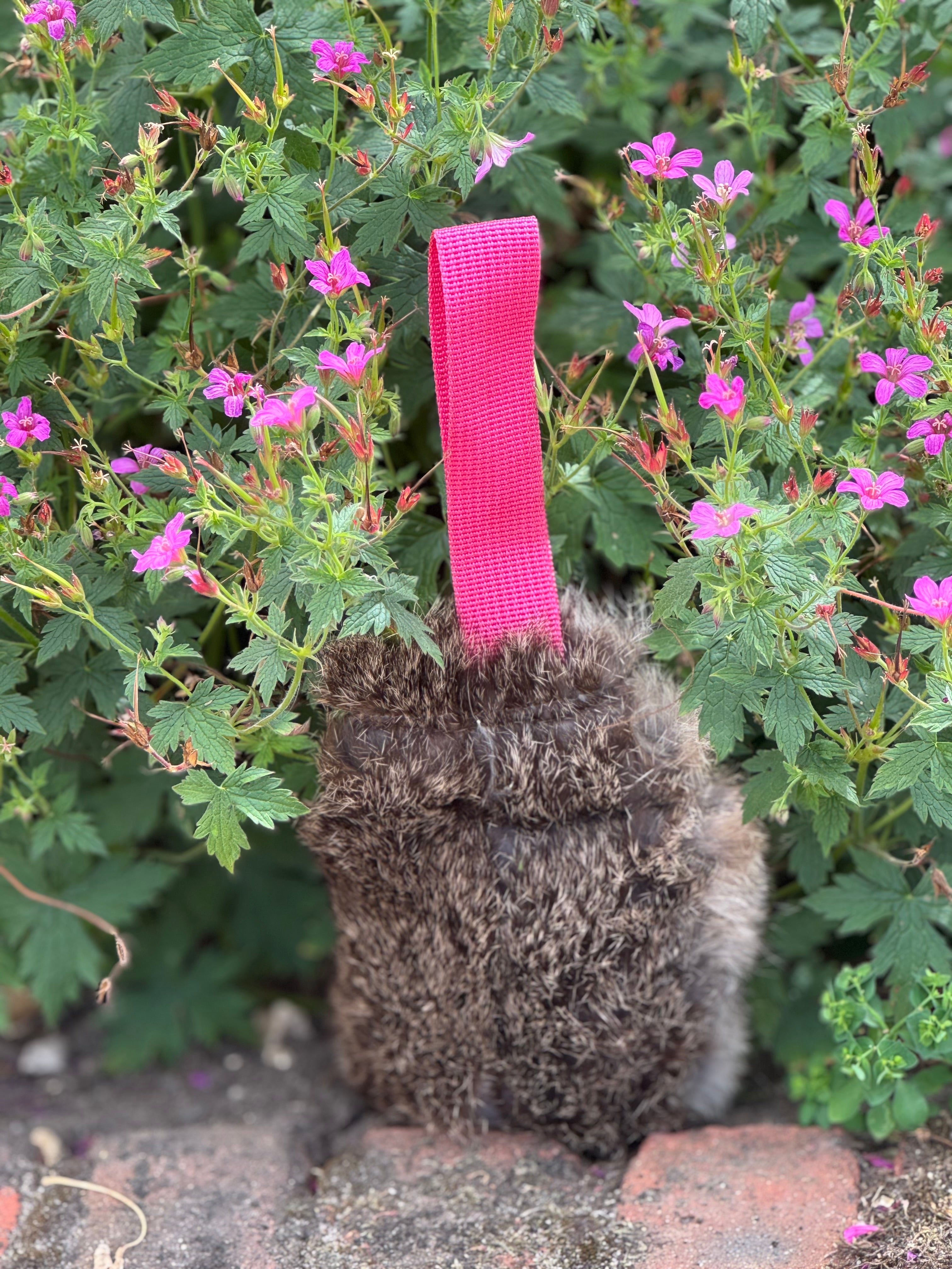 Paws@brooklyn Rabbit Dummy Balls with Throwing Straps