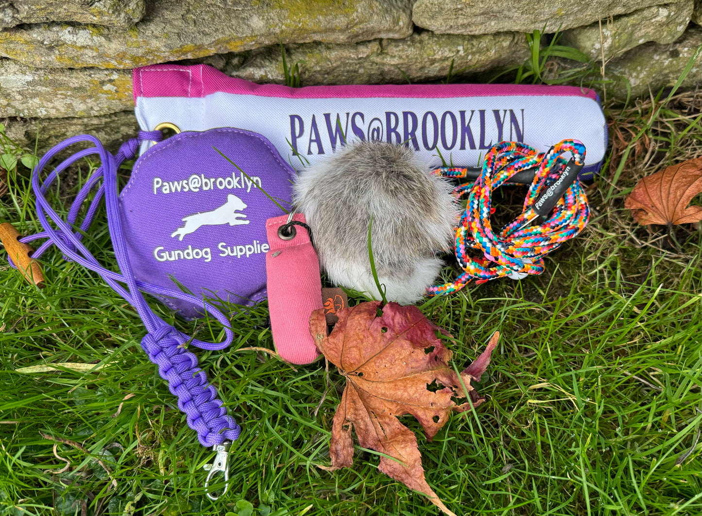 Paws@brooklyn Autumn Special Offer