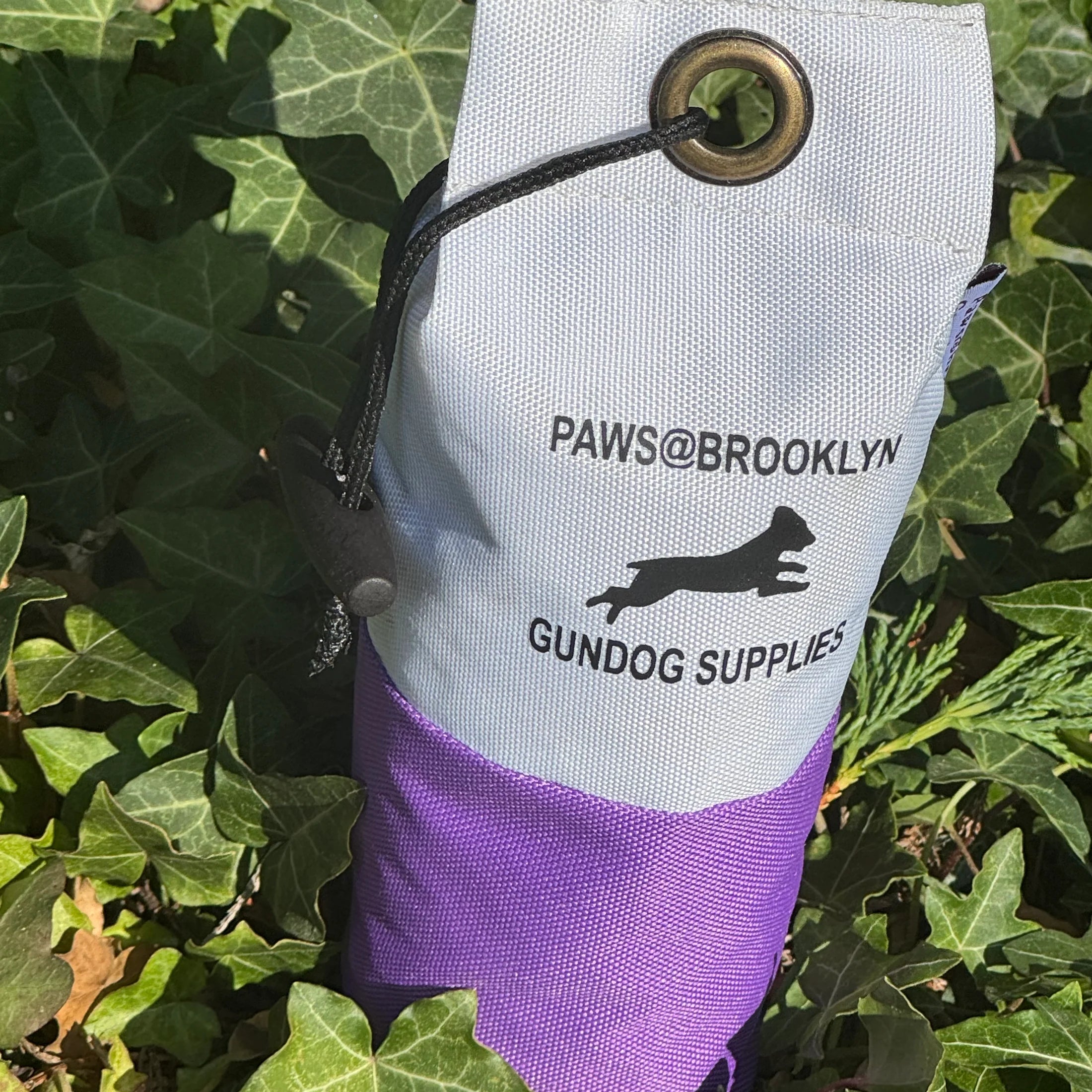 Paws@Brooklyn Dummies