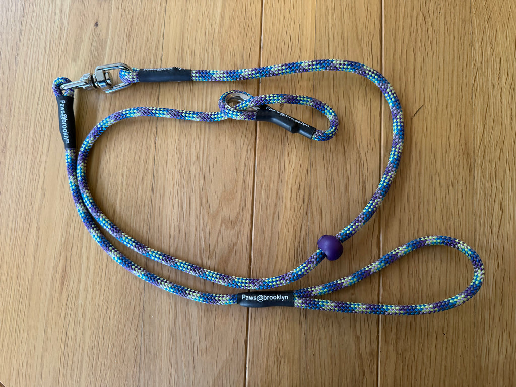 6mm Swivel Lead