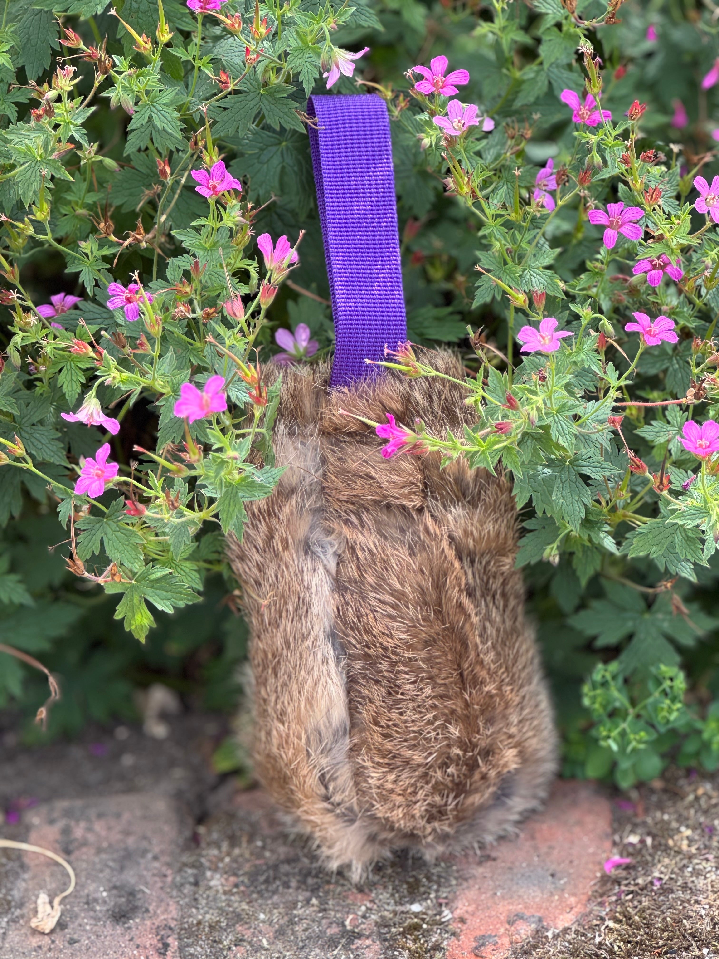 Paws@brooklyn Rabbit Dummy Balls with Throwing Straps