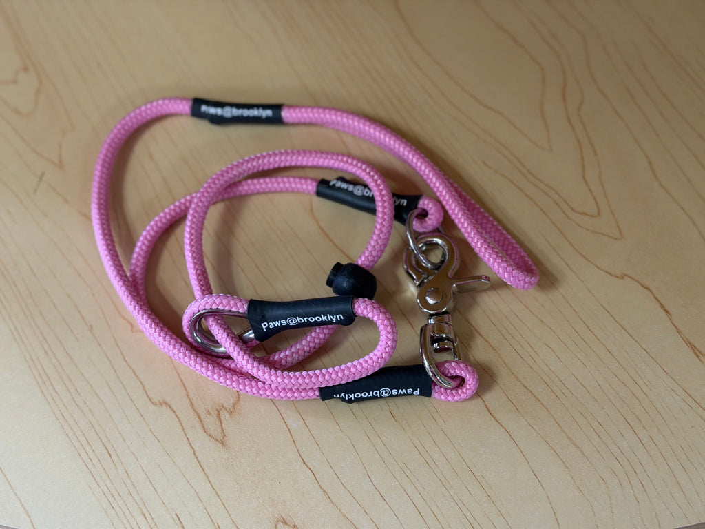 Darklass Double Swivel Lead