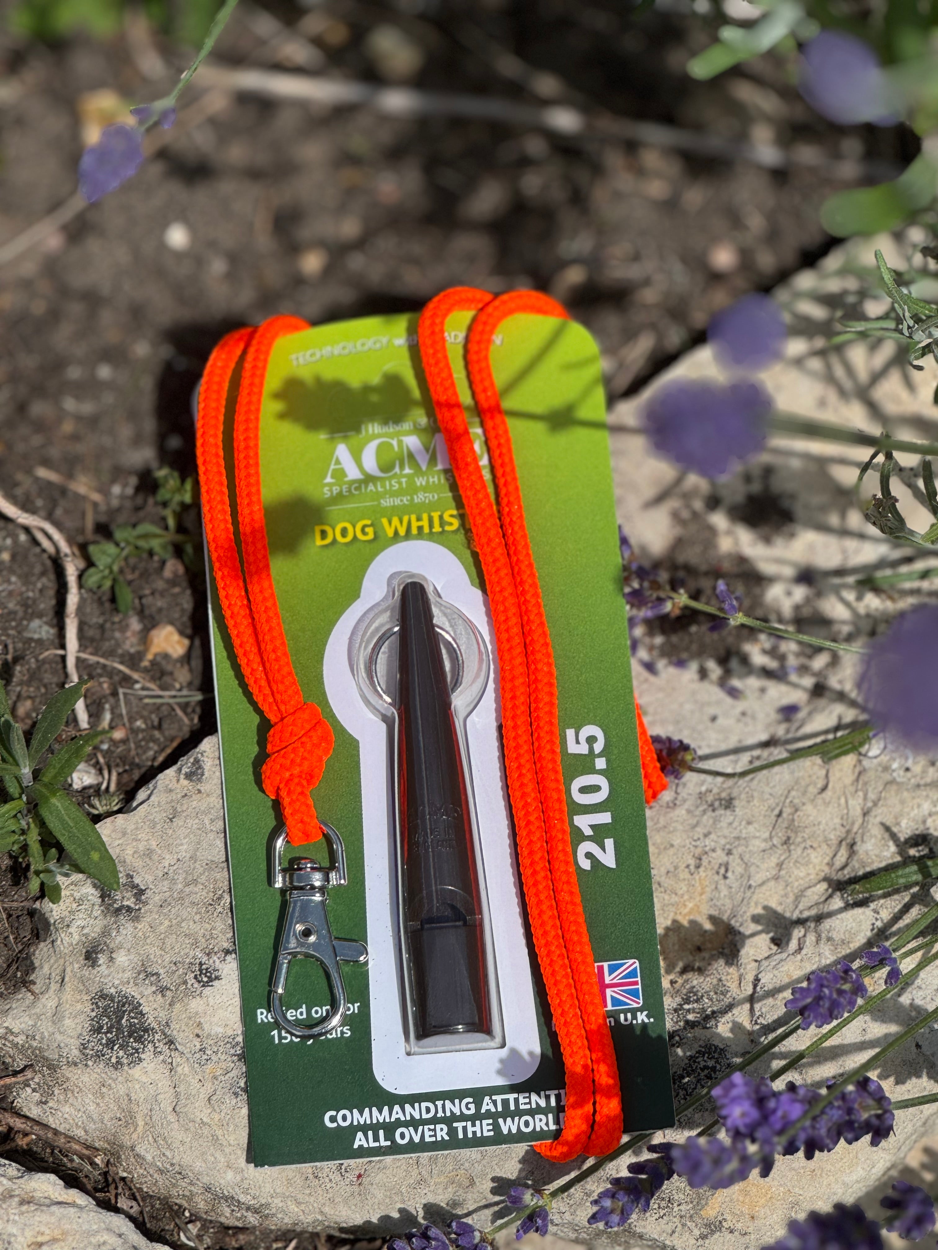 Paws@brooklyn Acme Whistle & Lanyard Set