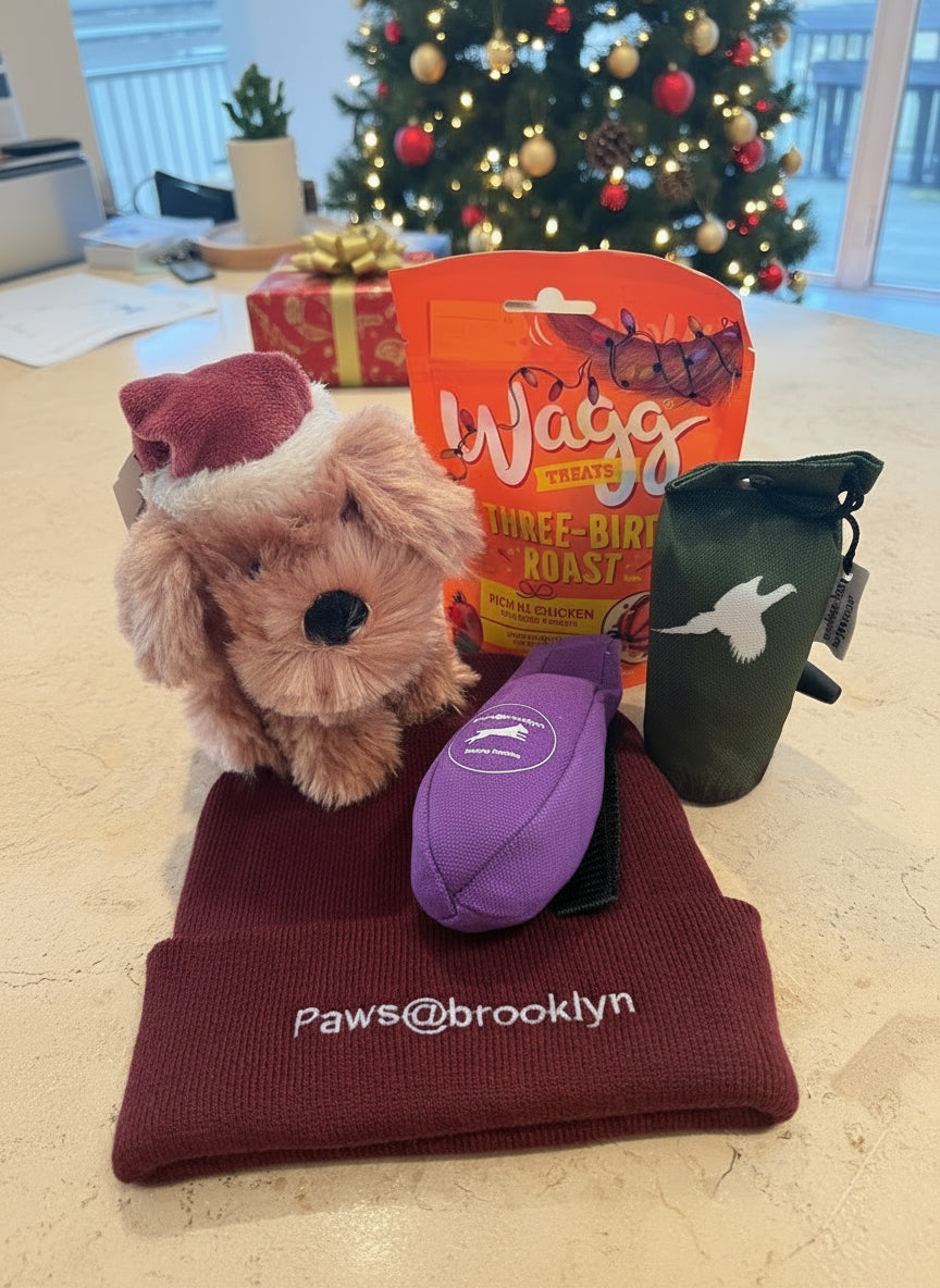 Pawsbrooklyn Christmas special offer for Dog and Handler