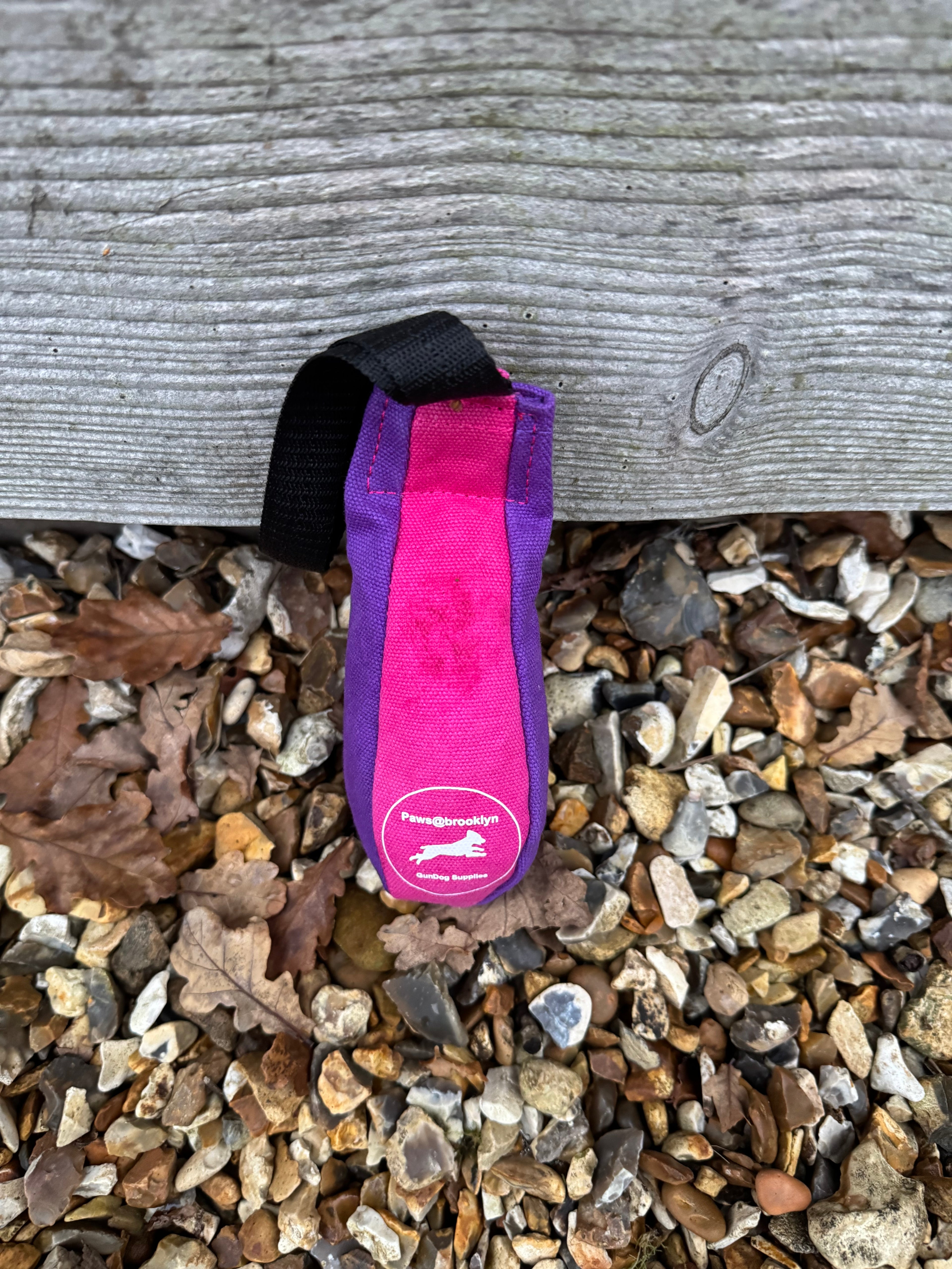 Paws@brooklyn Speedy Dummy Balls