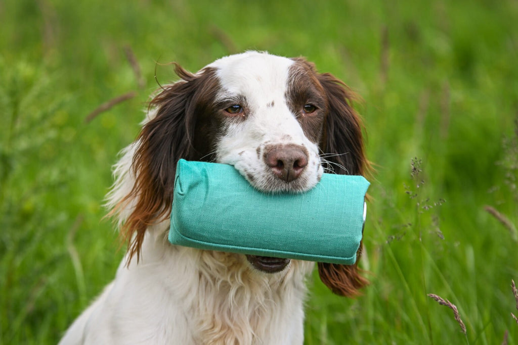 Dummy Launchers and accessories