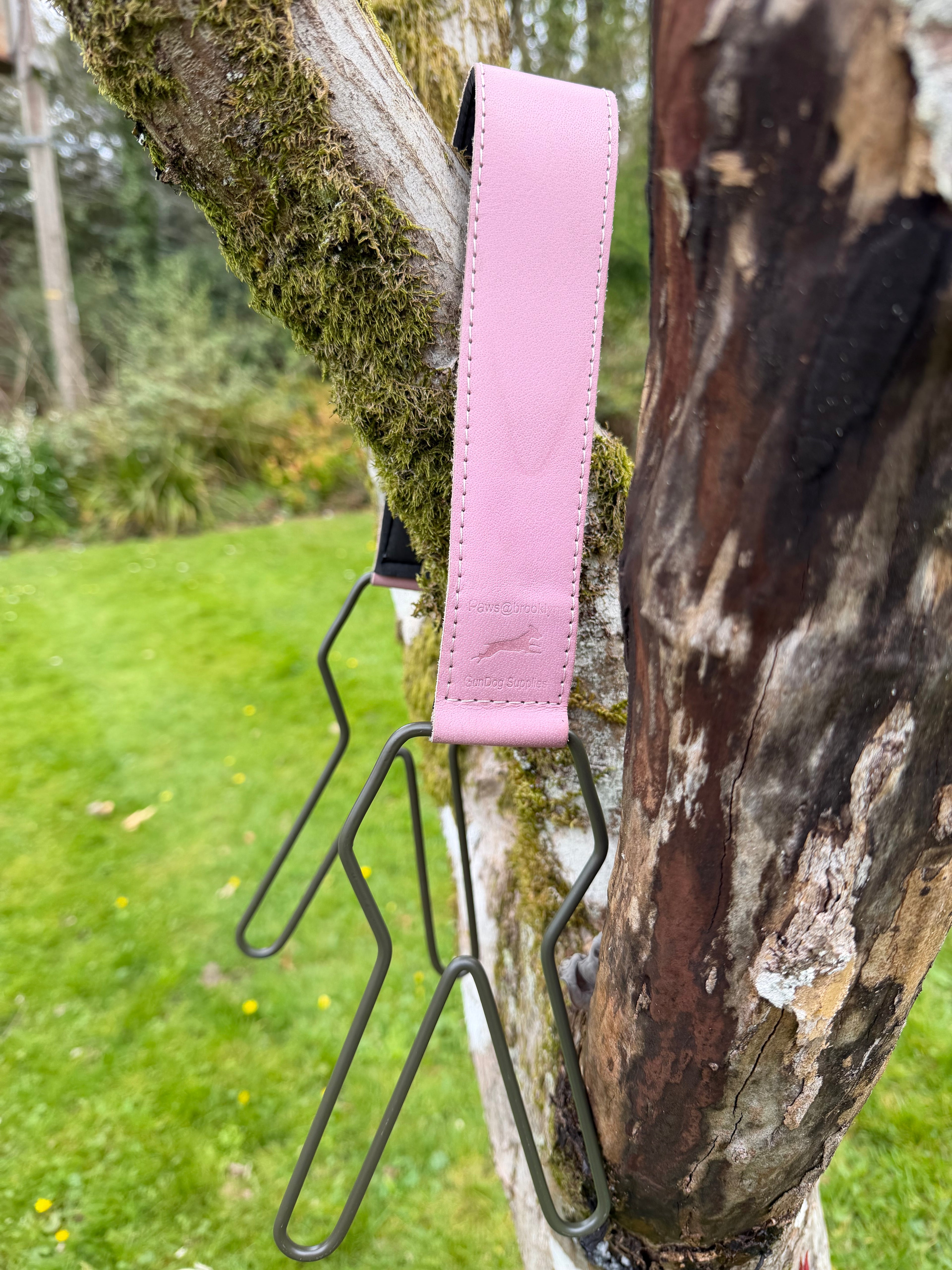 The Pink Field Limited Edition